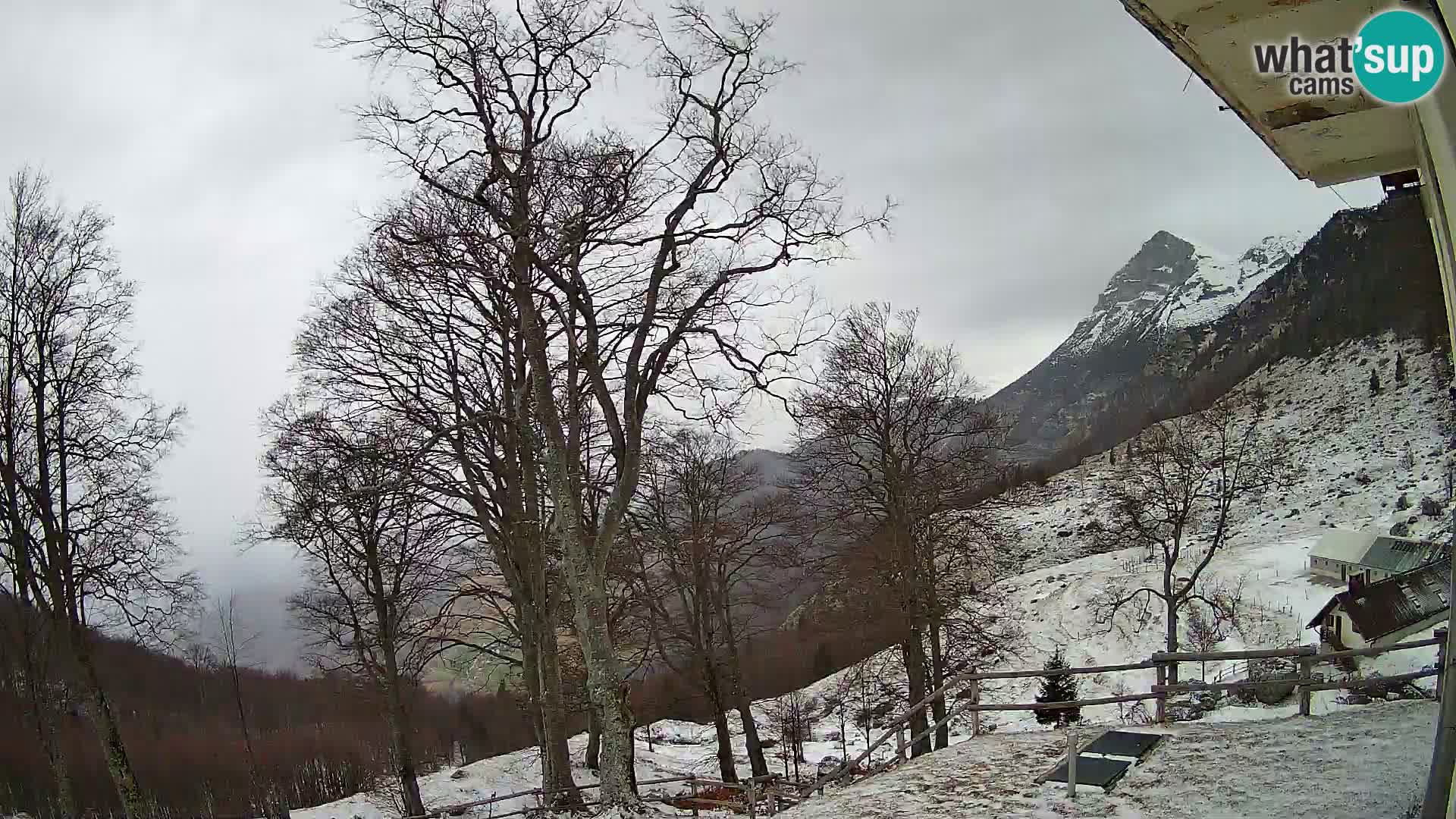 Planina Razor Bergütte Webcam (1315) | Blick auf Tolminski Migovec