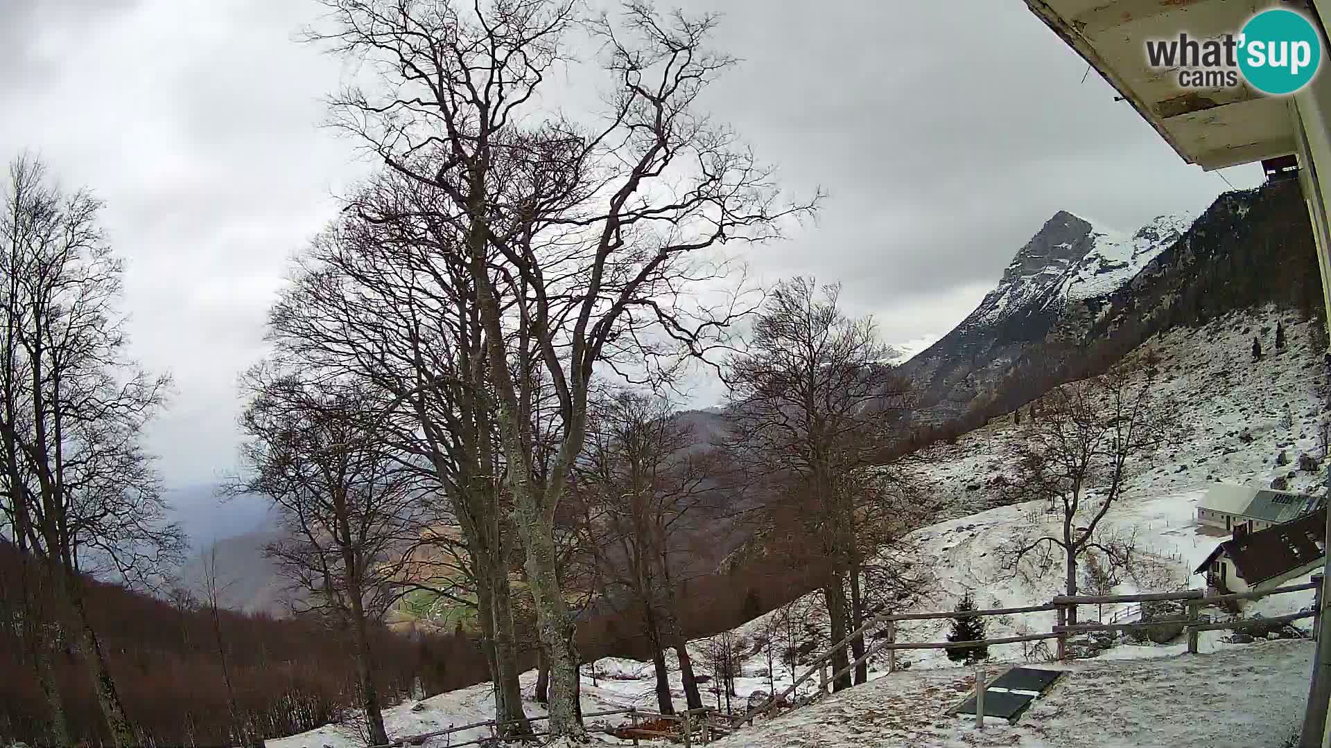 Planina Razor Bergütte Webcam (1315) | Blick auf Tolminski Migovec
