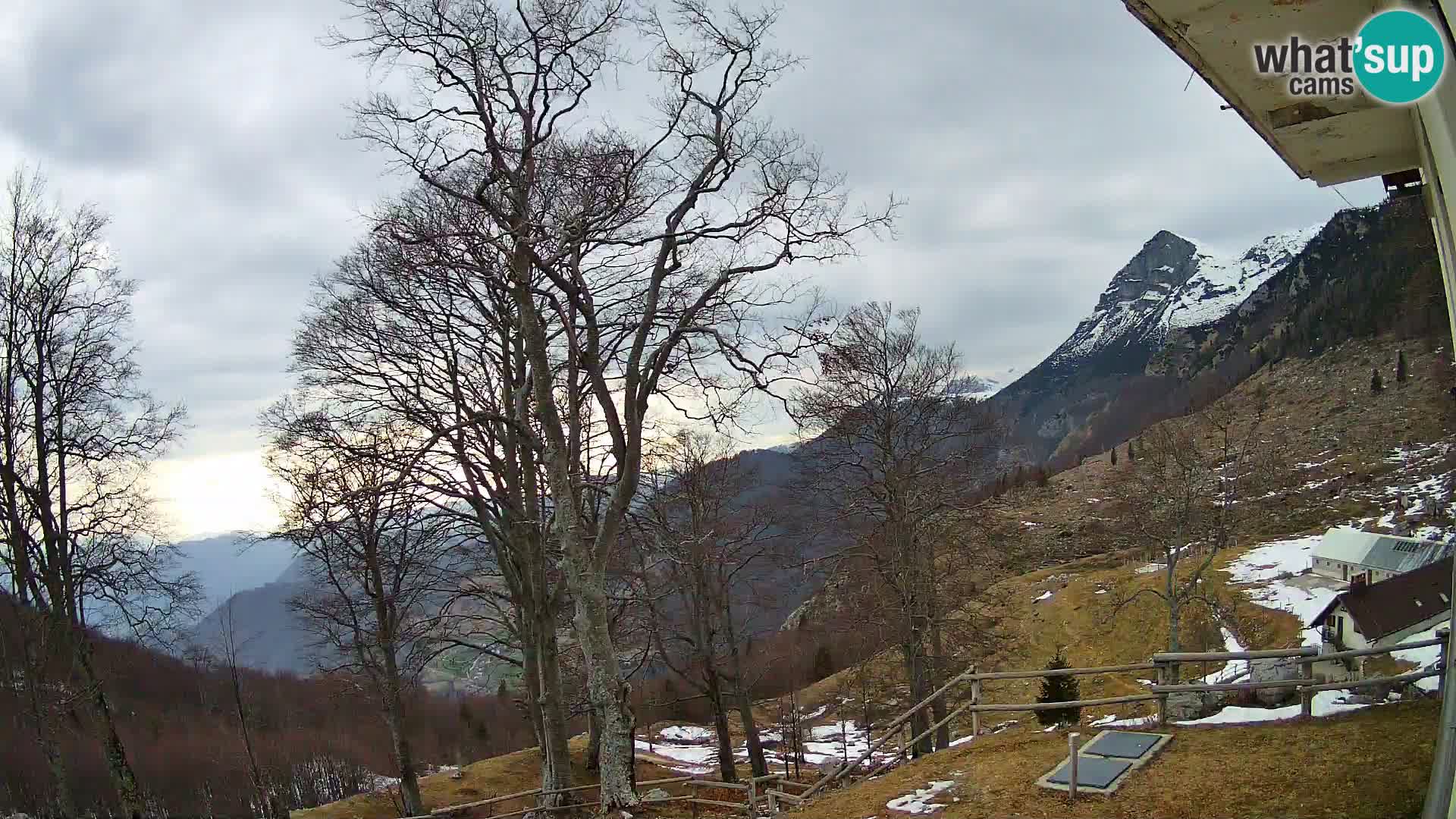 Baita di montagna Planina Razor webcam (1315) | vista su Tolminski Migovec