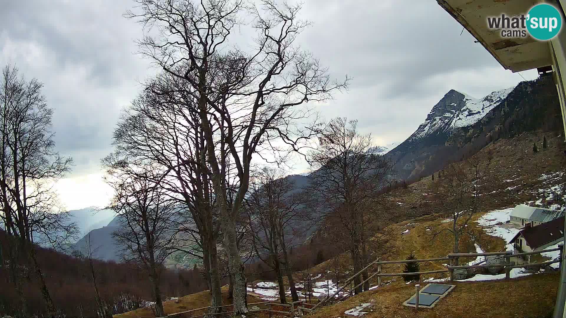 Planina Razor Mountain Hut live cam (1315) | view to Tolminski Migovec