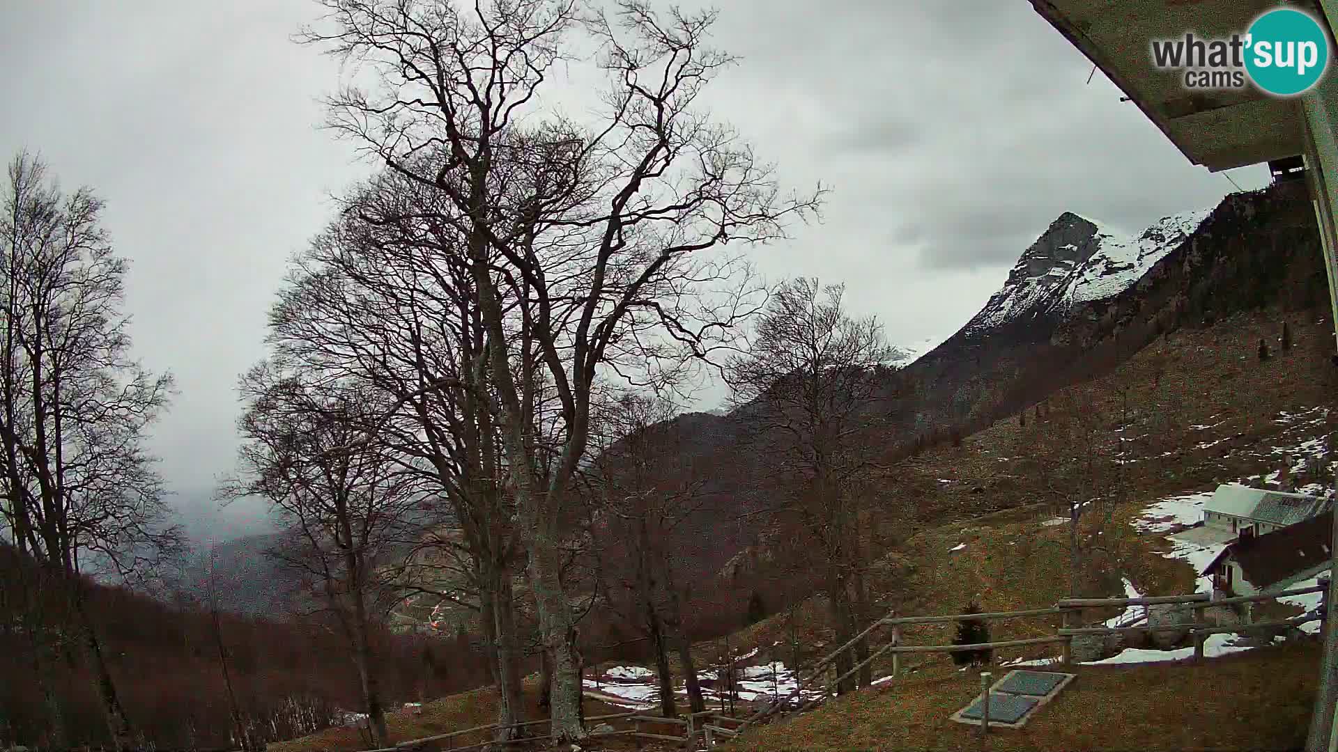 Planina Razor Mountain Hut live cam (1315) | view to Tolminski Migovec