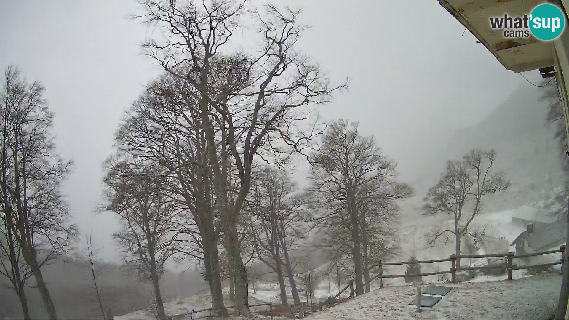 Koča na Planini Razor spletna kamera (1315) | Pogled na Tolminski Migovec