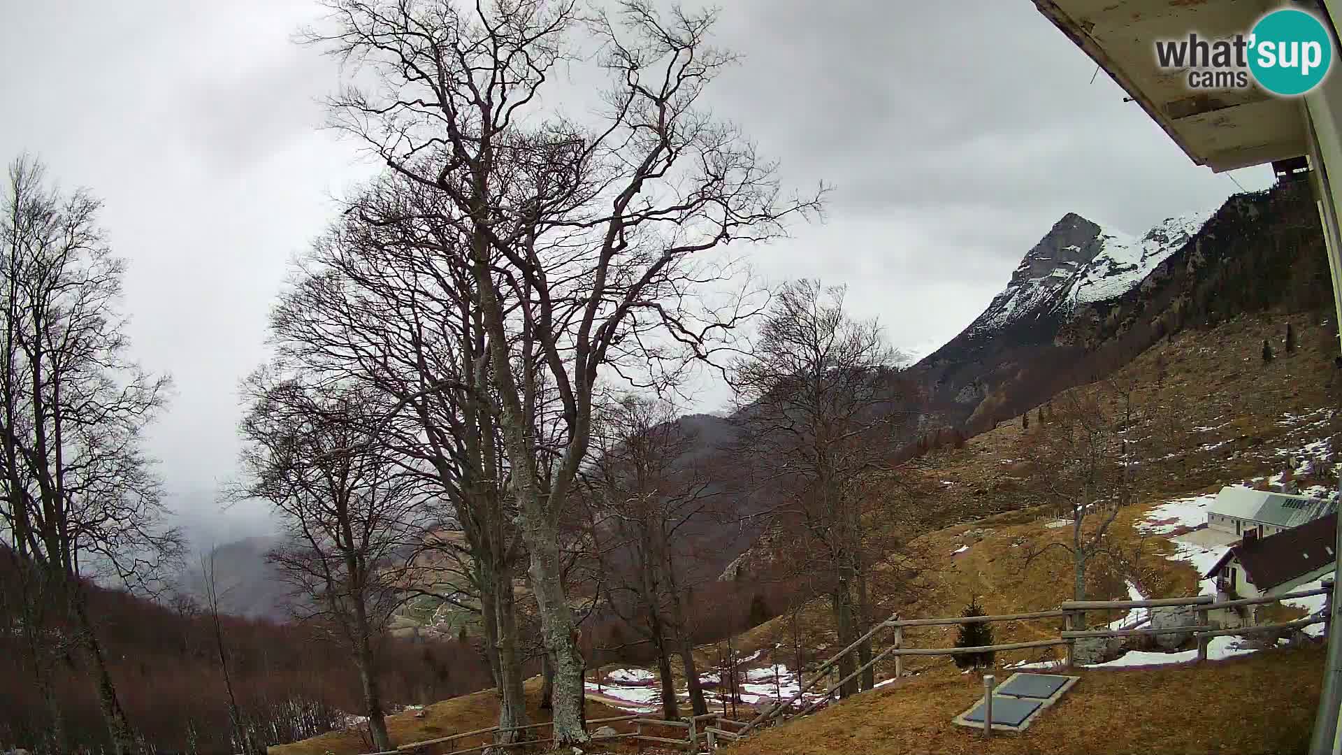 Planina Razor Bergütte Webcam (1315) | Blick auf Tolminski Migovec