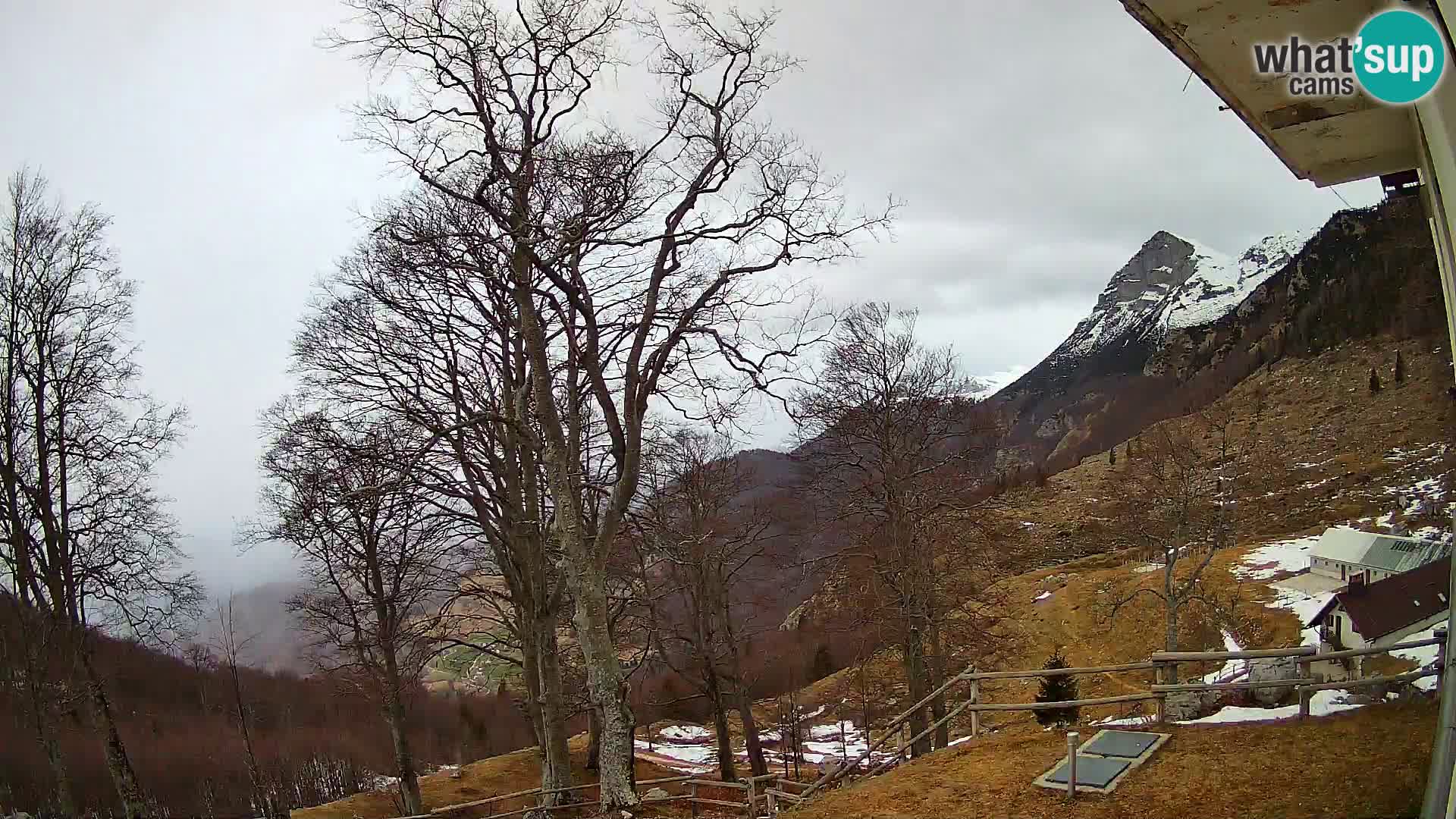 Planina Razor Bergütte Webcam (1315) | Blick auf Tolminski Migovec