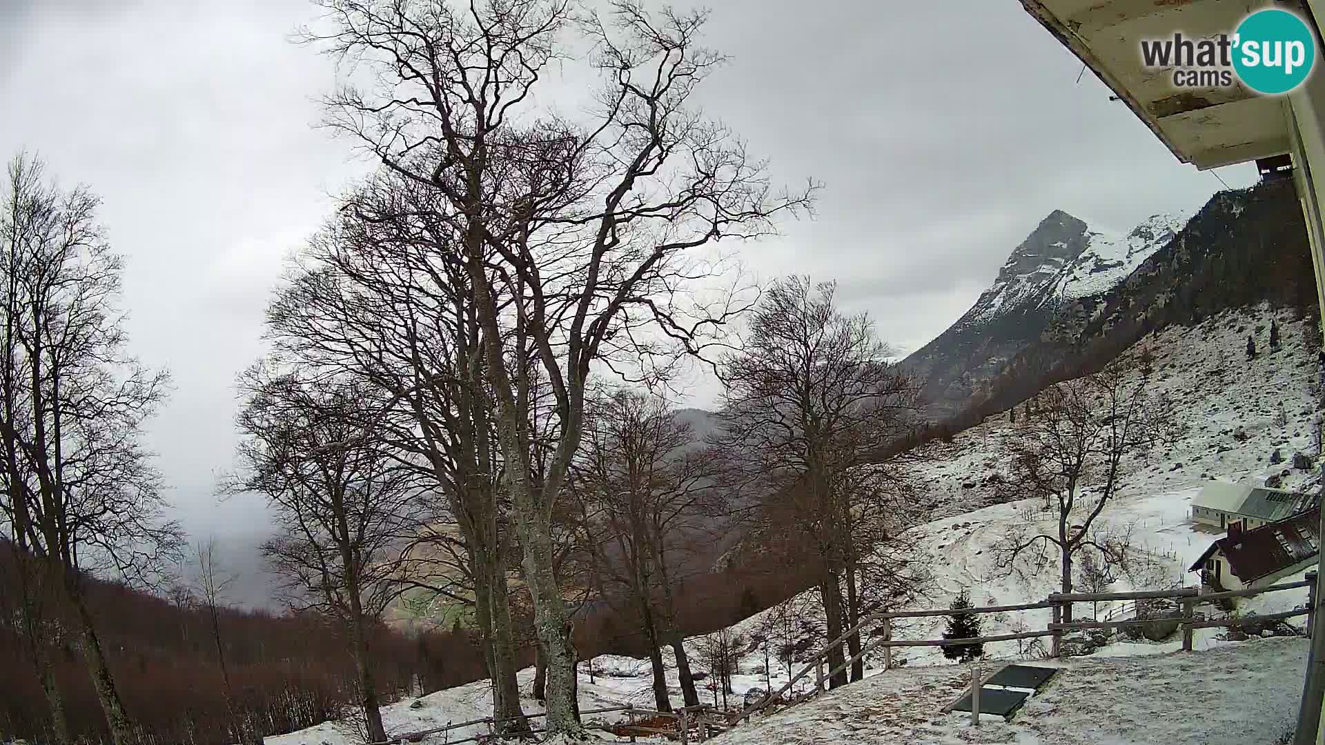 Planina Razor Bergütte Webcam (1315) | Blick auf Tolminski Migovec