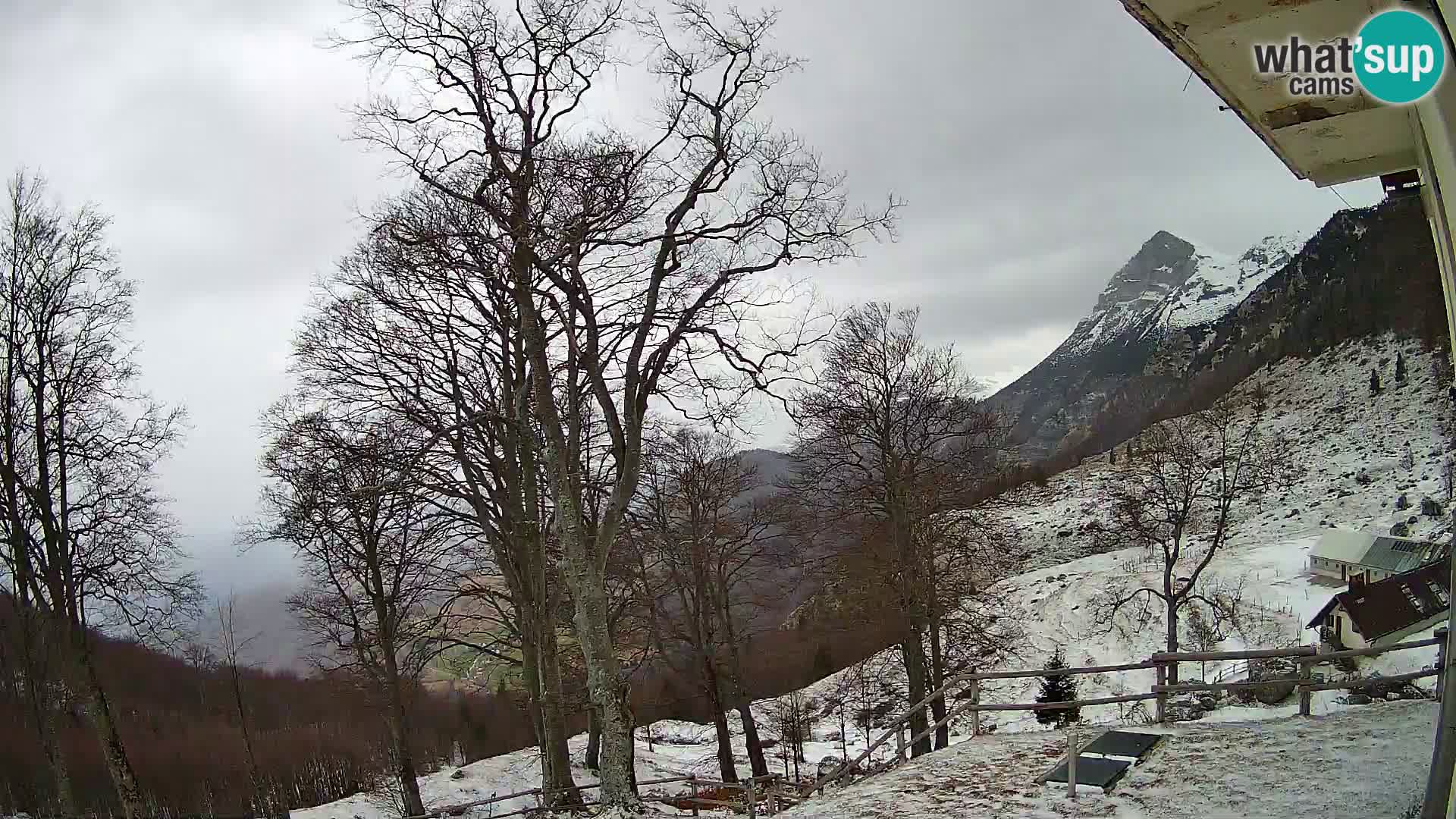 Planina Razor Bergütte Webcam (1315) | Blick auf Tolminski Migovec