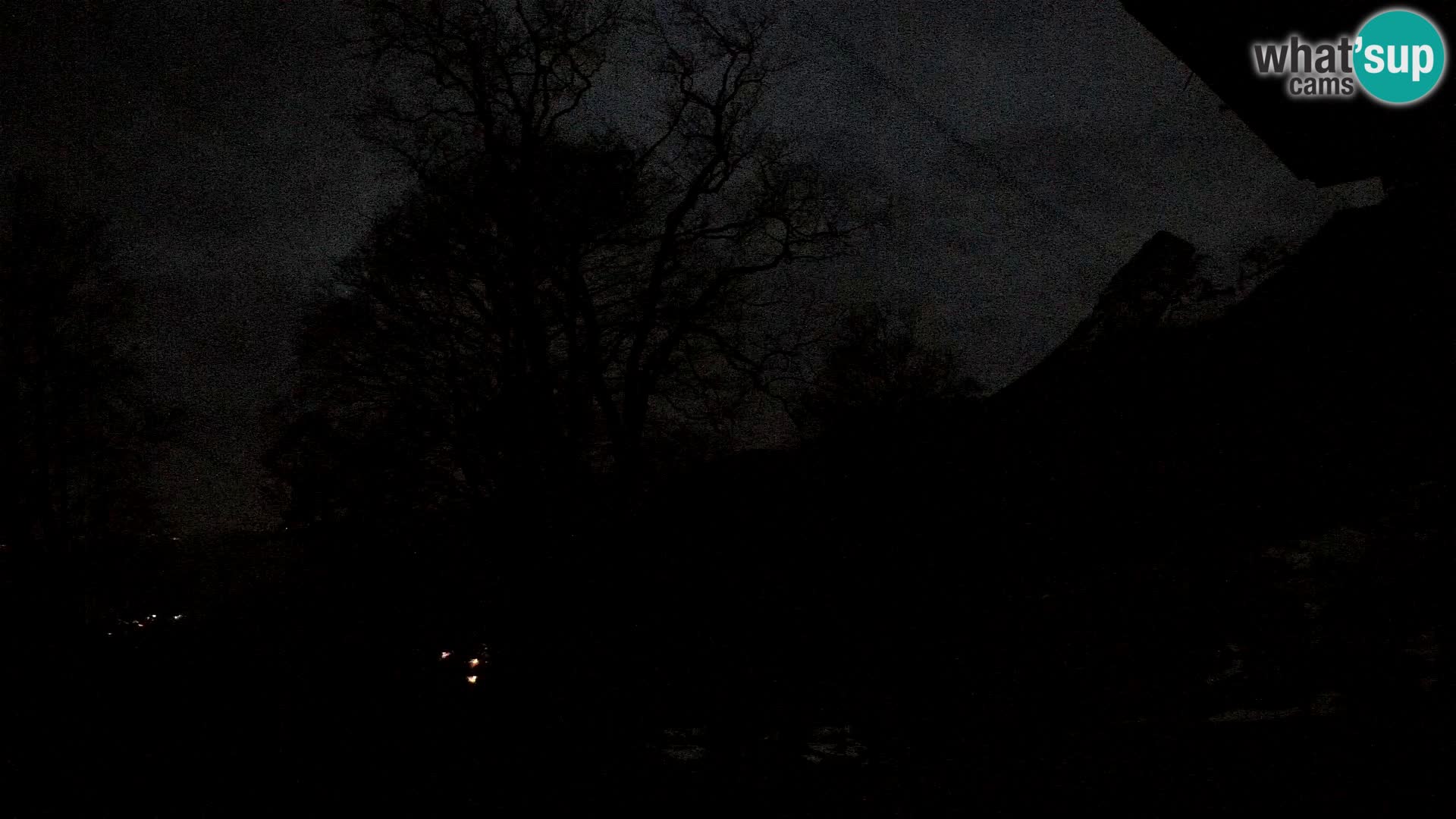 Cámara en vivo de la cabaña de montaña Planina Razor (1315) | vista hacia Tolminski Migovec