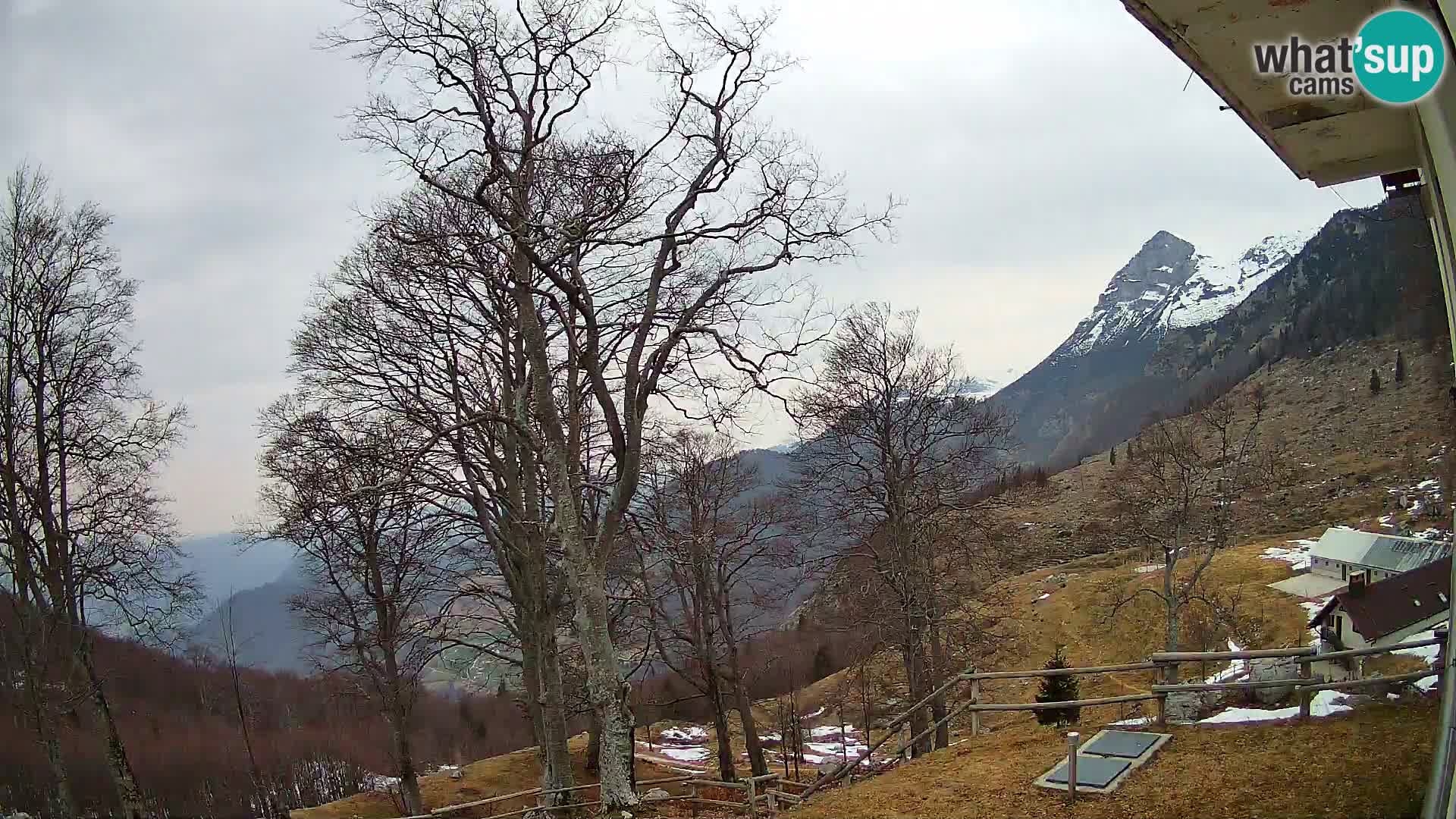 Planina Razor Mountain Hut live cam (1315) | view to Tolminski Migovec
