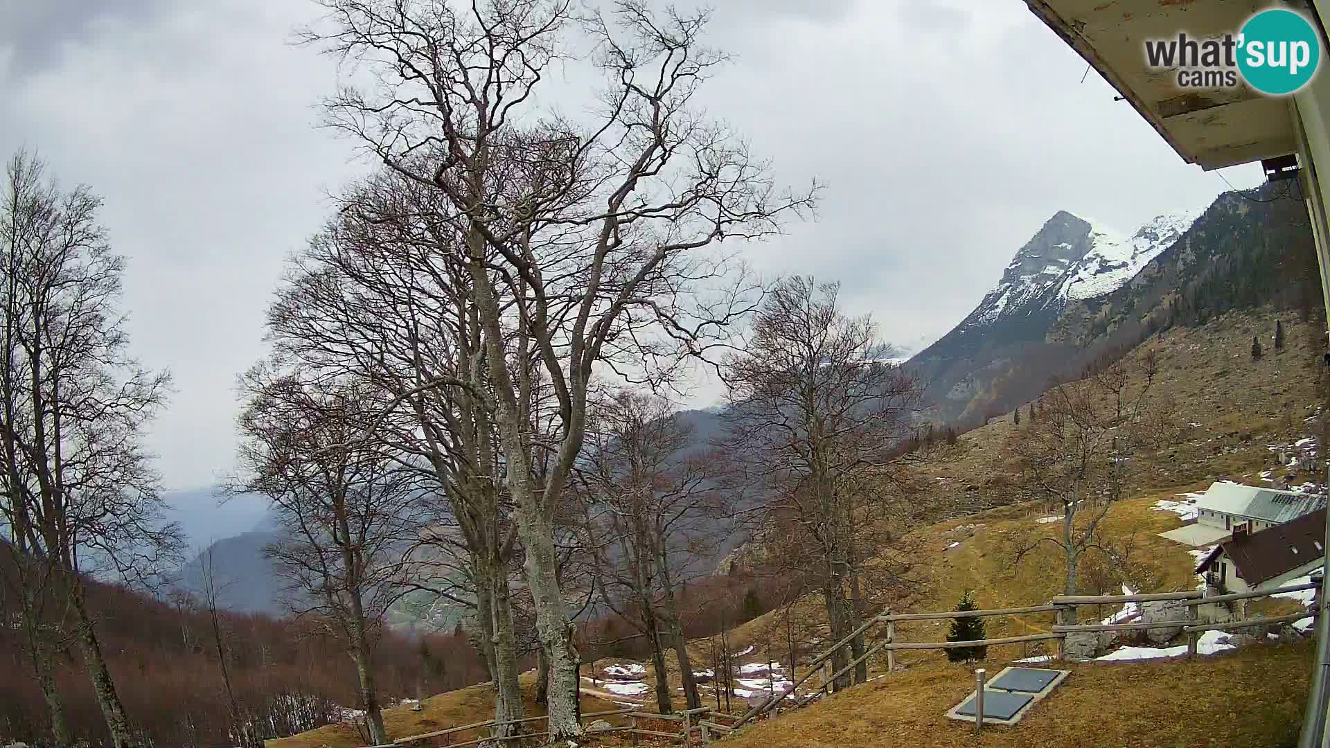 Baita di montagna Planina Razor webcam (1315) | vista su Tolminski Migovec