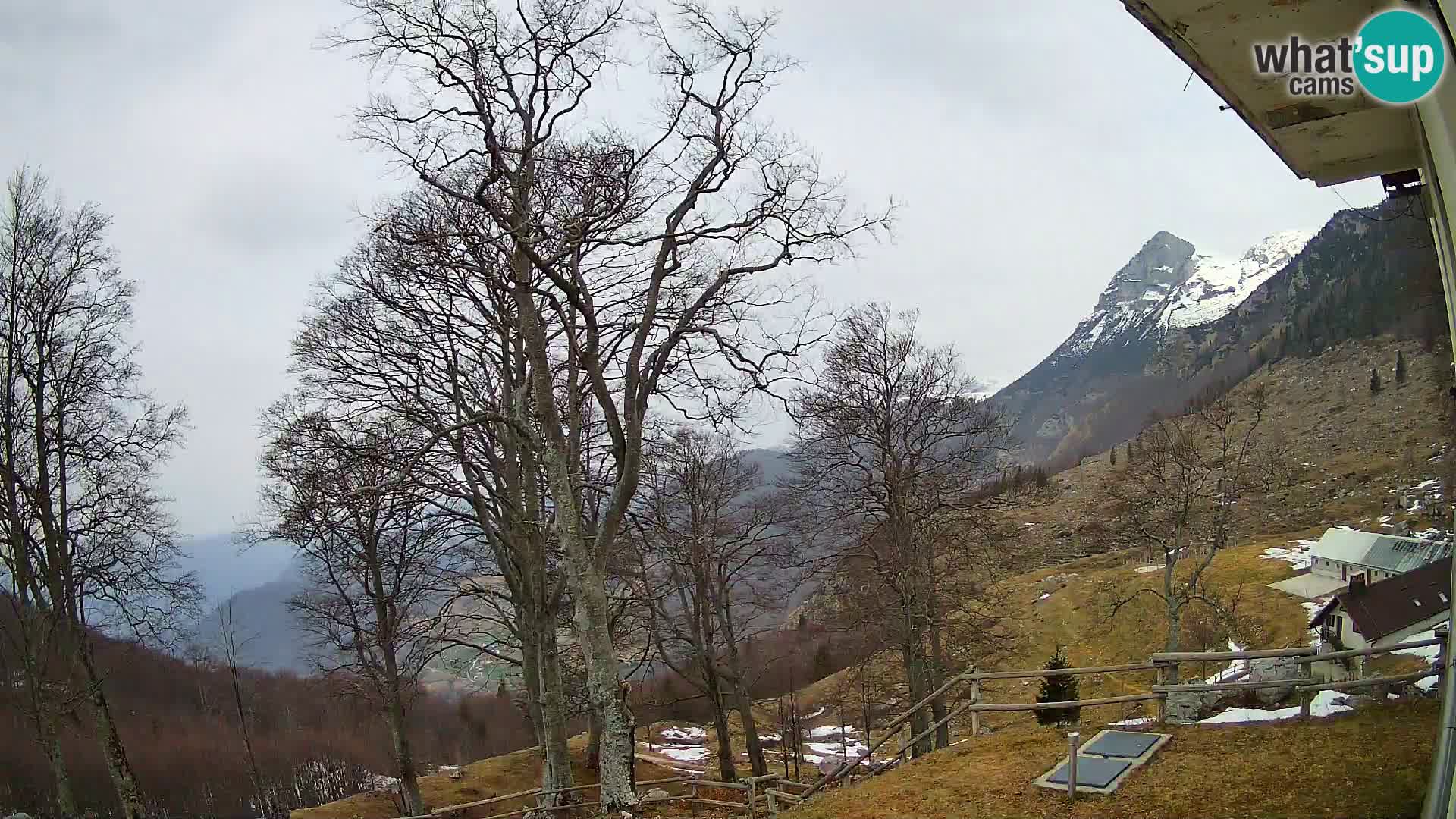 Planina Razor Mountain Hut live cam (1315) | view to Tolminski Migovec