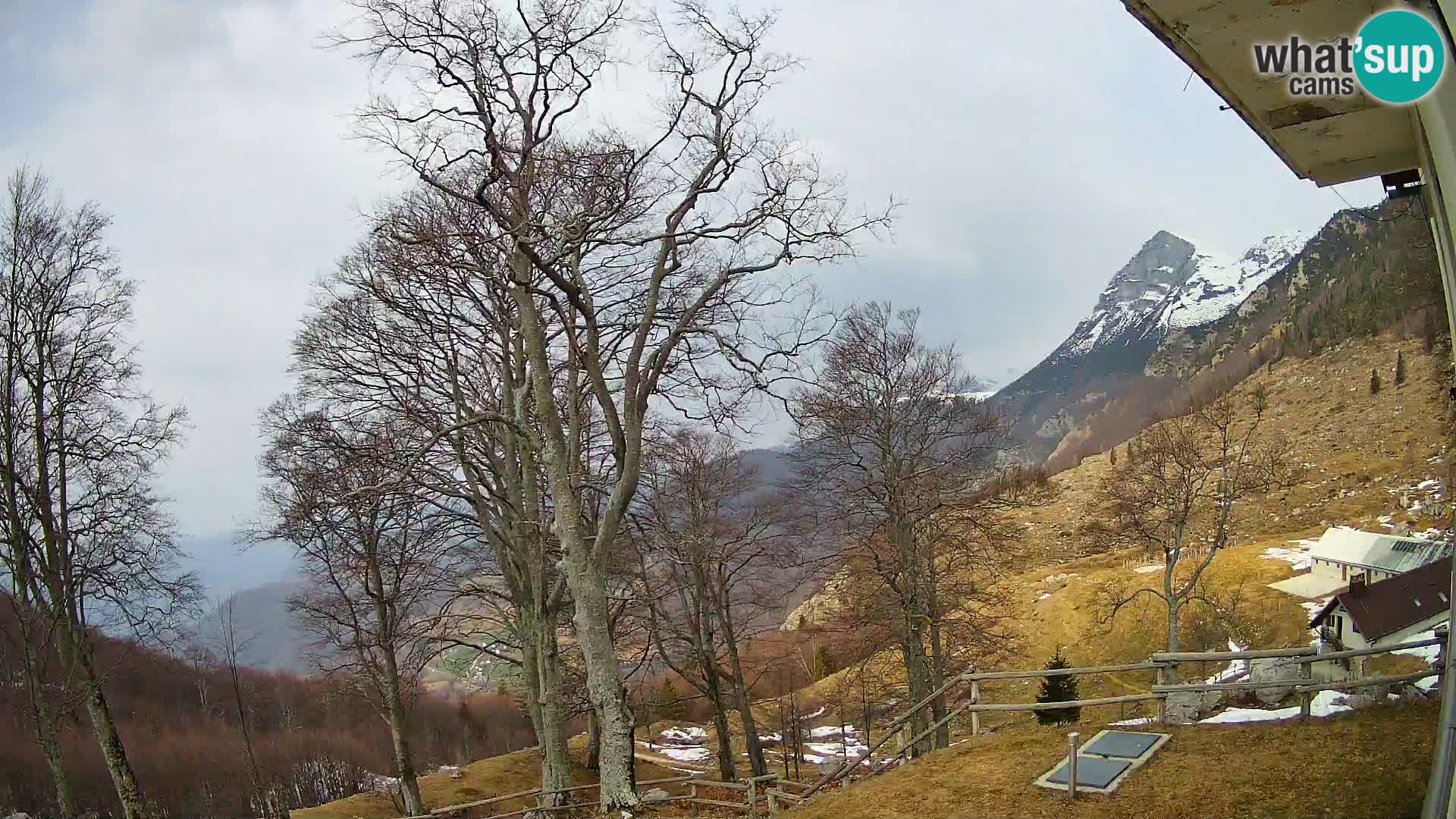 Baita di montagna Planina Razor webcam (1315) | vista su Tolminski Migovec