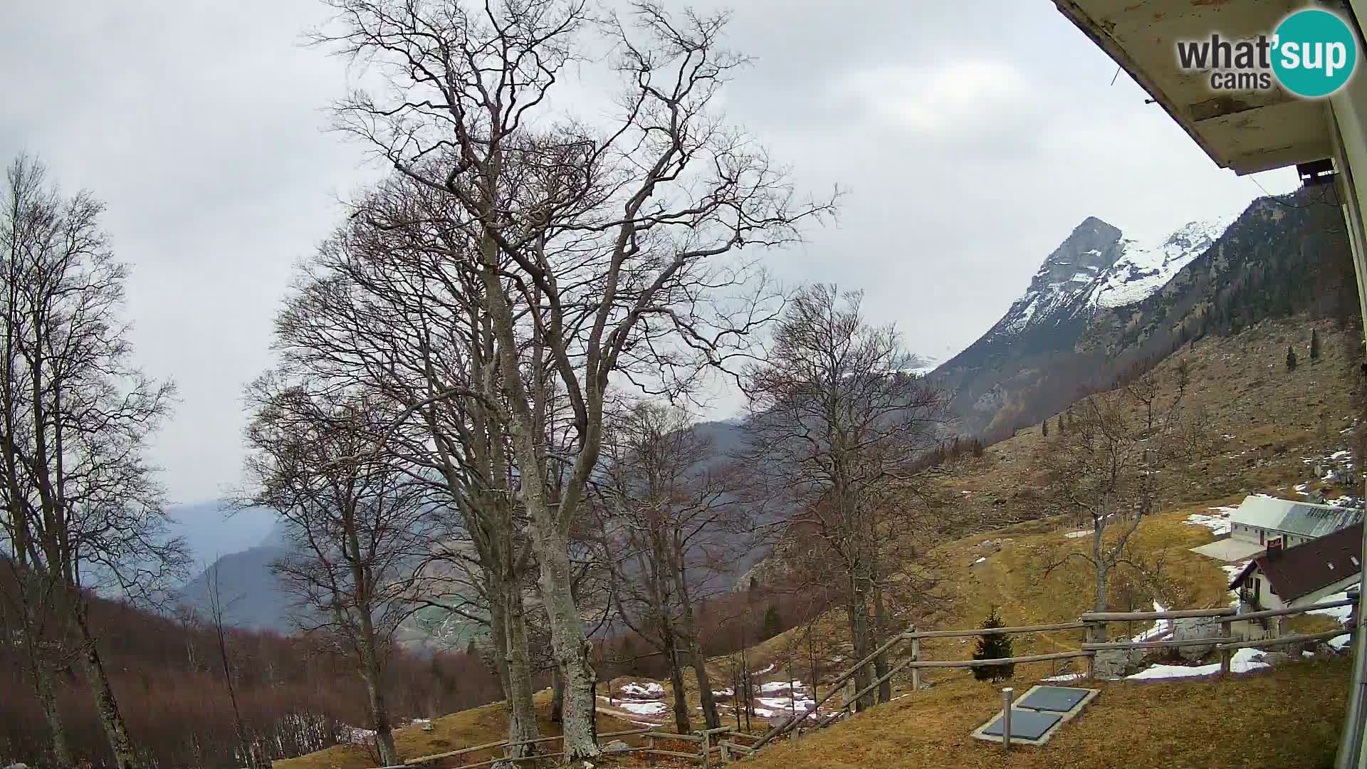 Baita di montagna Planina Razor webcam (1315) | vista su Tolminski Migovec