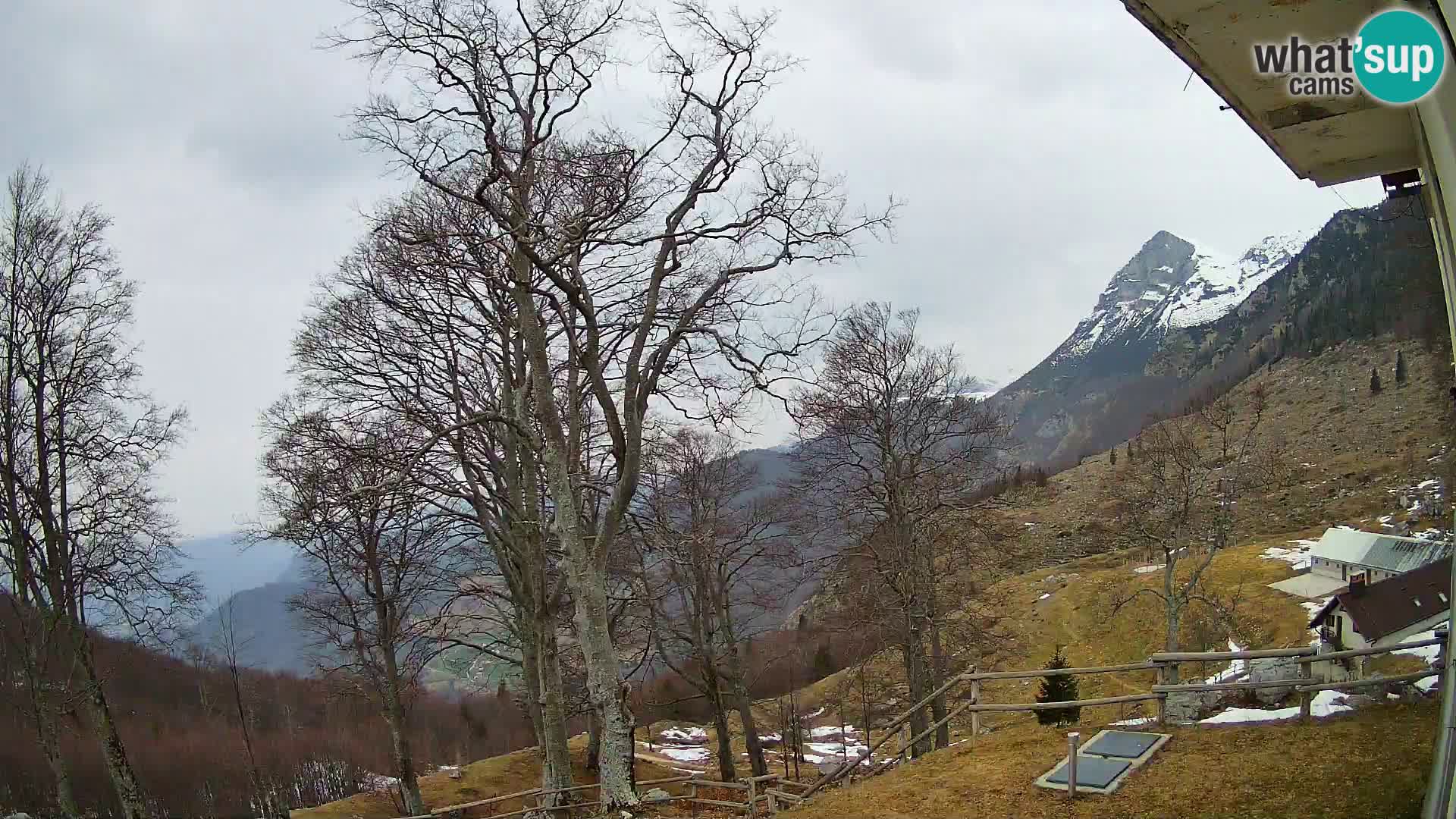 Planina Razor Mountain Hut live cam (1315) | view to Tolminski Migovec