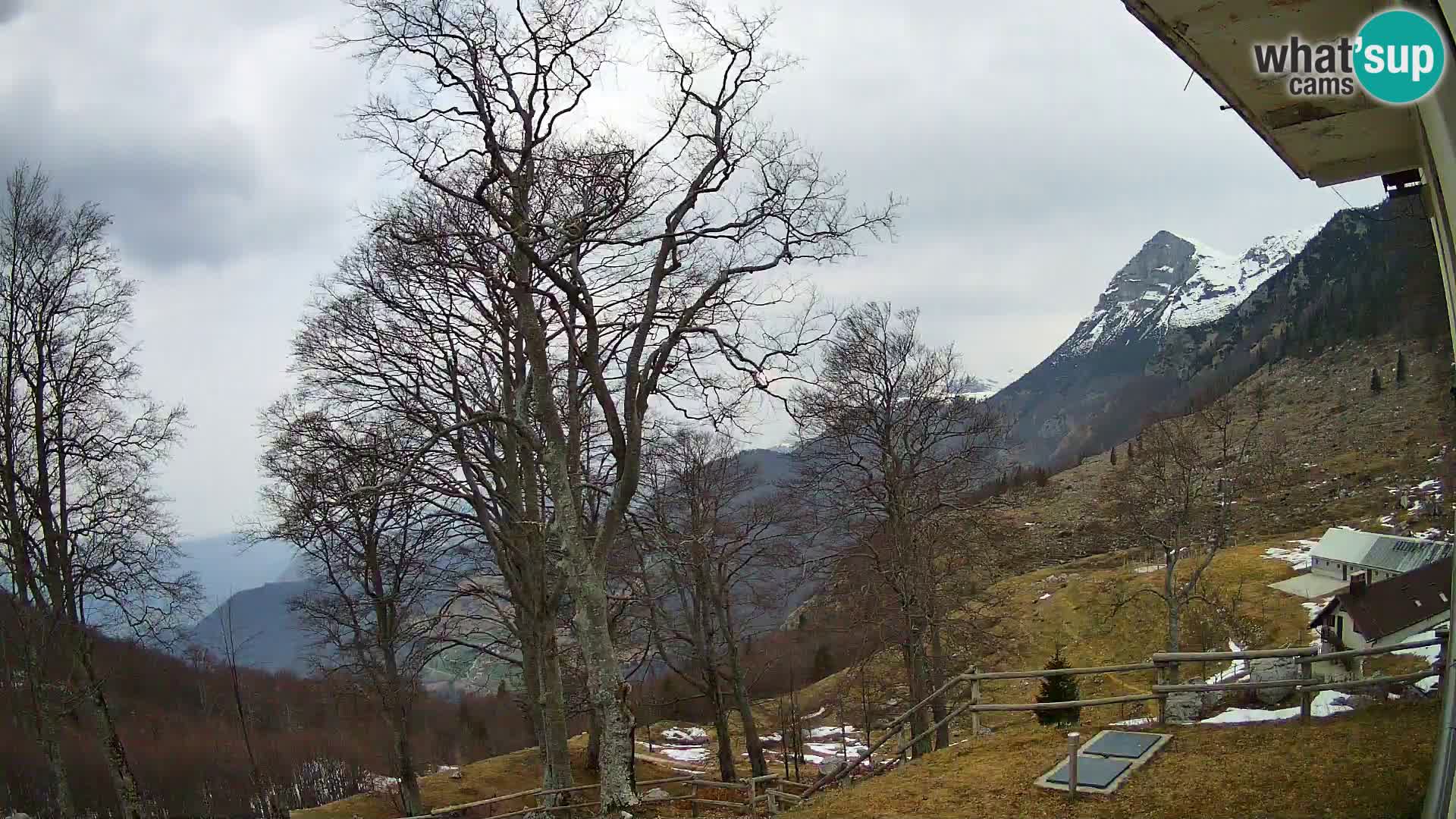 Baita di montagna Planina Razor webcam (1315) | vista su Tolminski Migovec