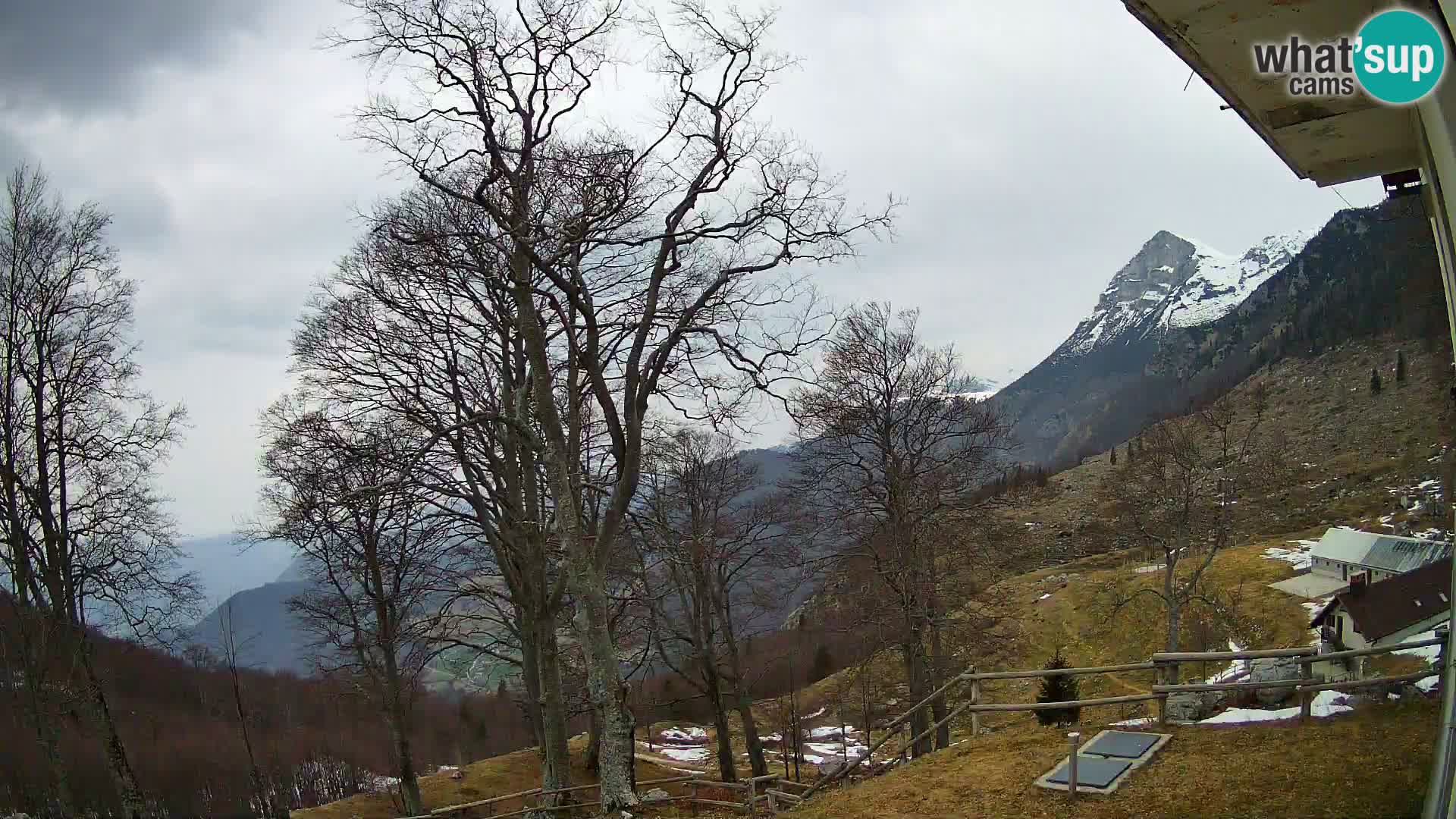 Baita di montagna Planina Razor webcam (1315) | vista su Tolminski Migovec