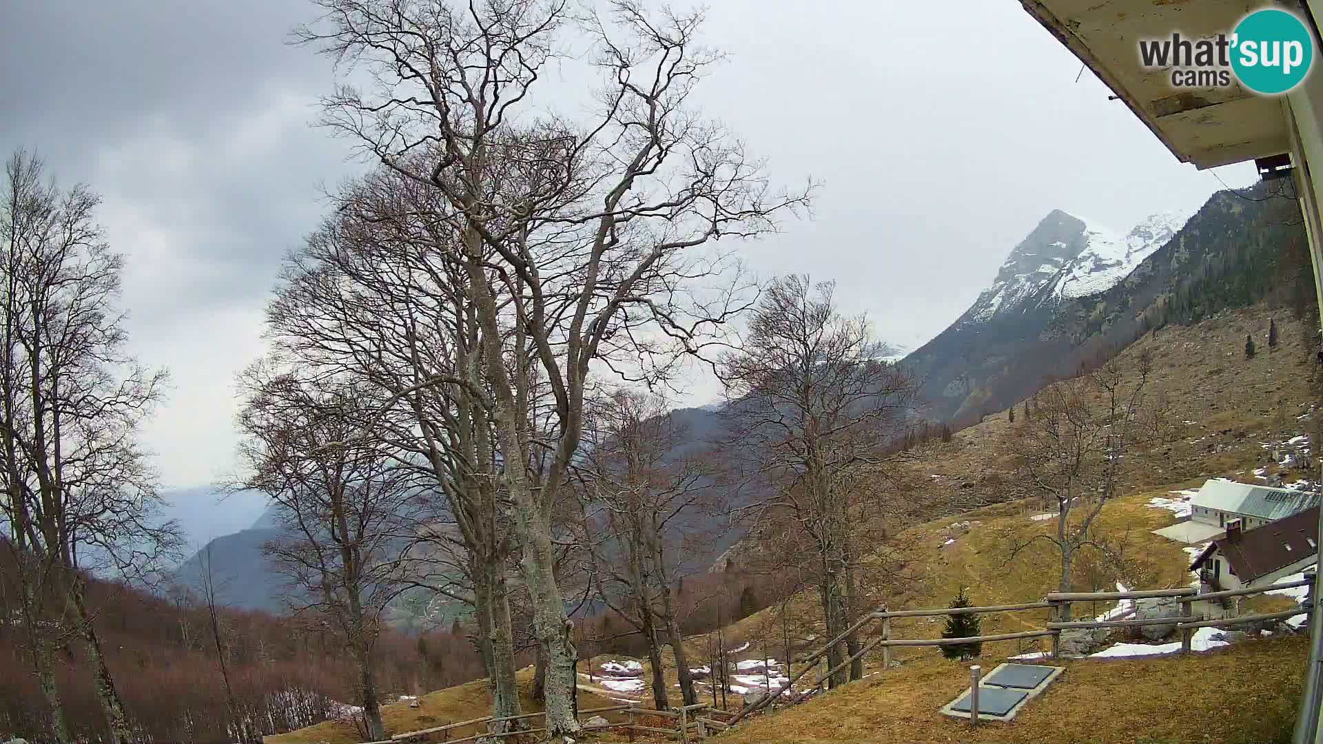 Baita di montagna Planina Razor webcam (1315) | vista su Tolminski Migovec