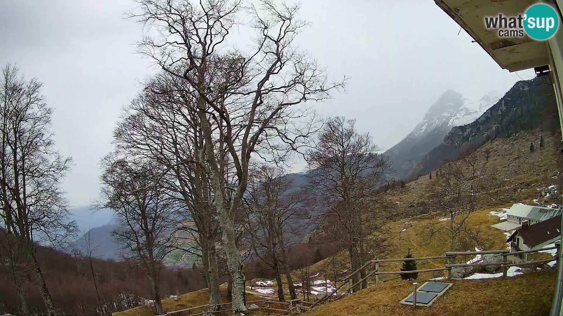 Baita di montagna Planina Razor webcam (1315) | vista su Tolminski Migovec