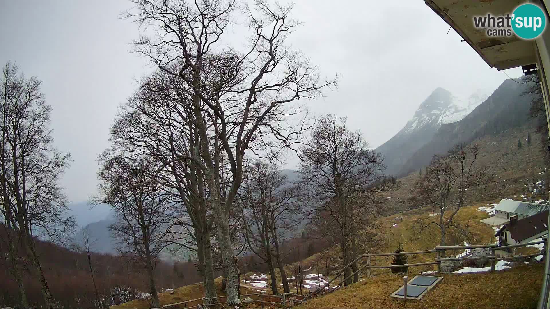 Cámara en vivo de la cabaña de montaña Planina Razor (1315) | vista hacia Tolminski Migovec