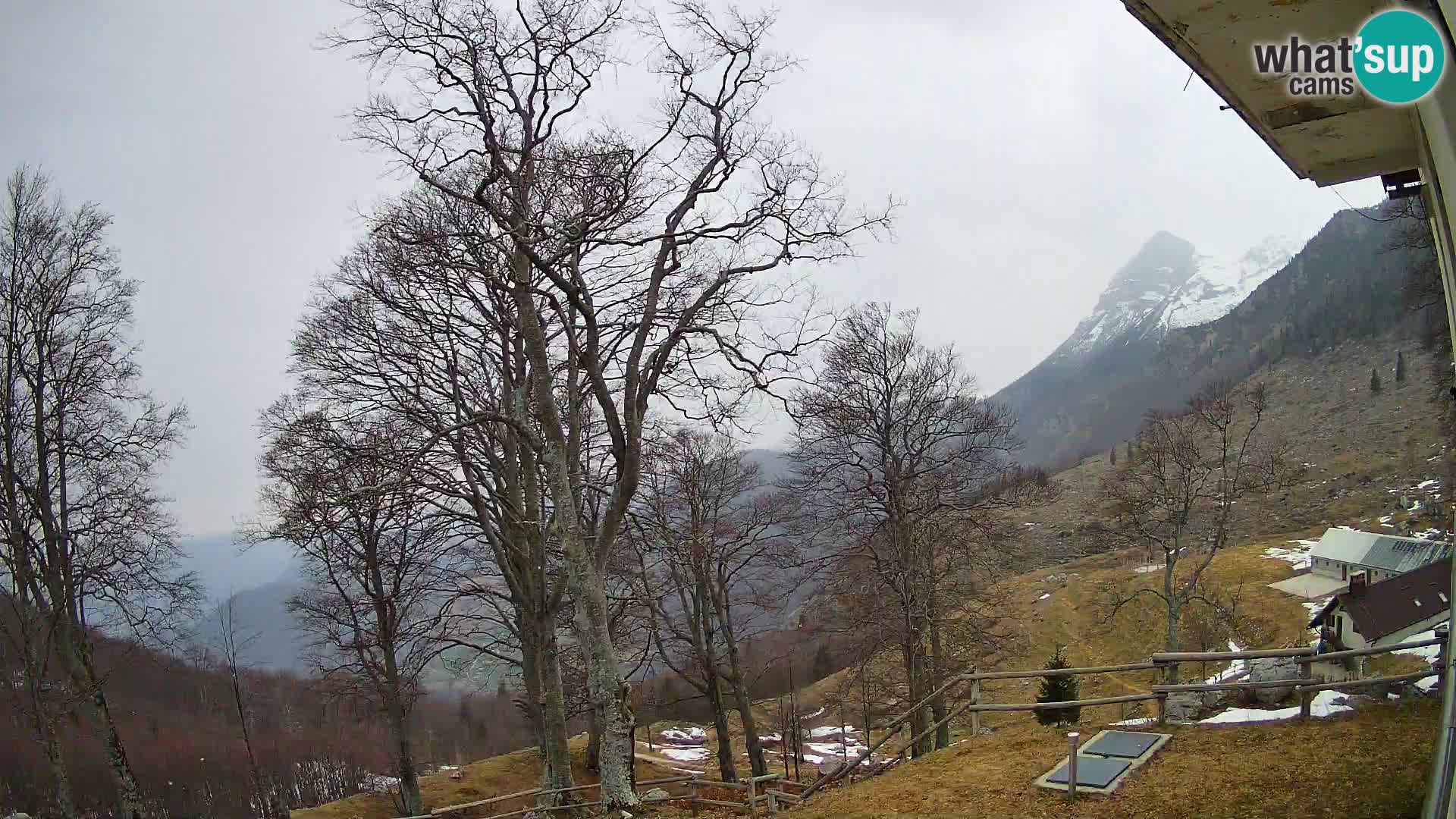 Cámara en vivo de la cabaña de montaña Planina Razor (1315) | vista hacia Tolminski Migovec