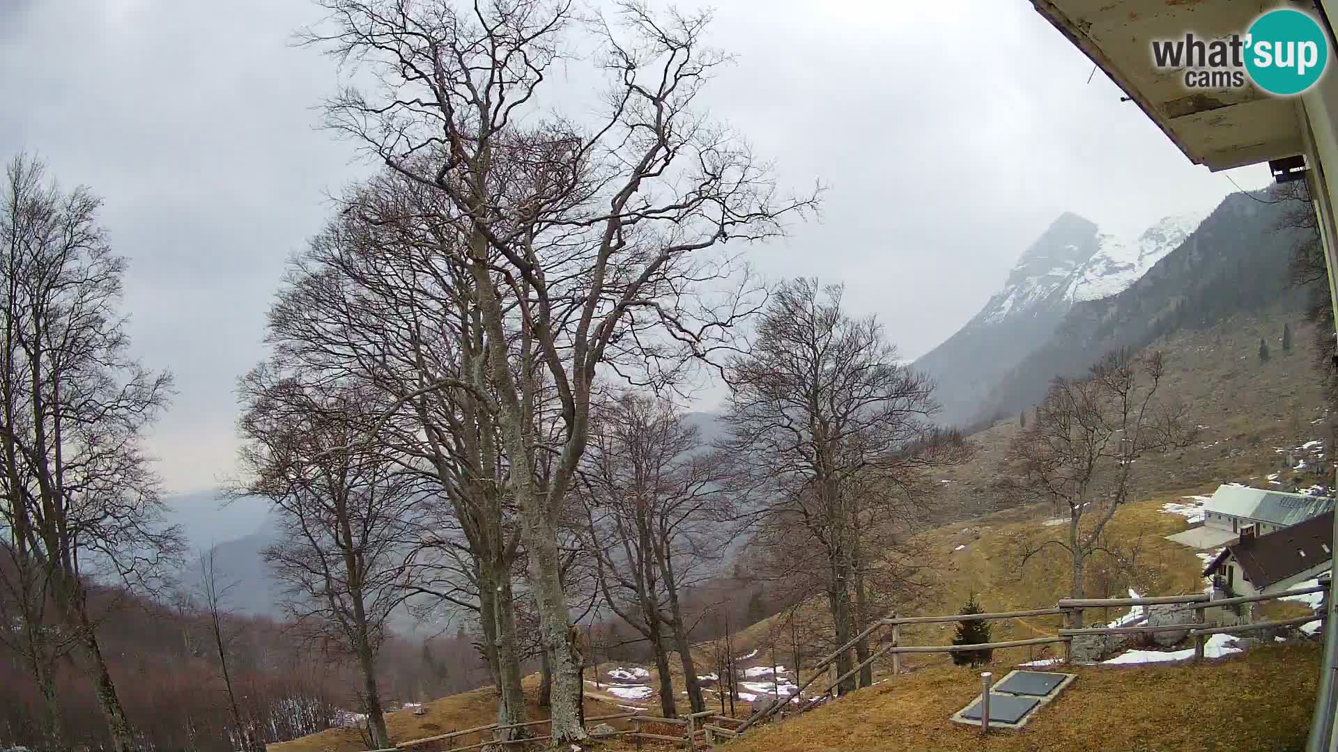Refuge de la montagne Planina Razor caméra en direct (1315) | vue sur Tolminski Migovec