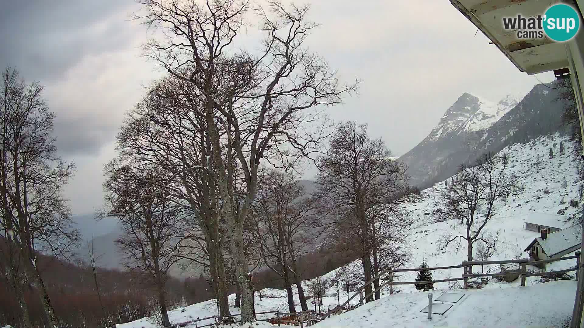 Baita di montagna Planina Razor webcam (1315) | vista su Tolminski Migovec