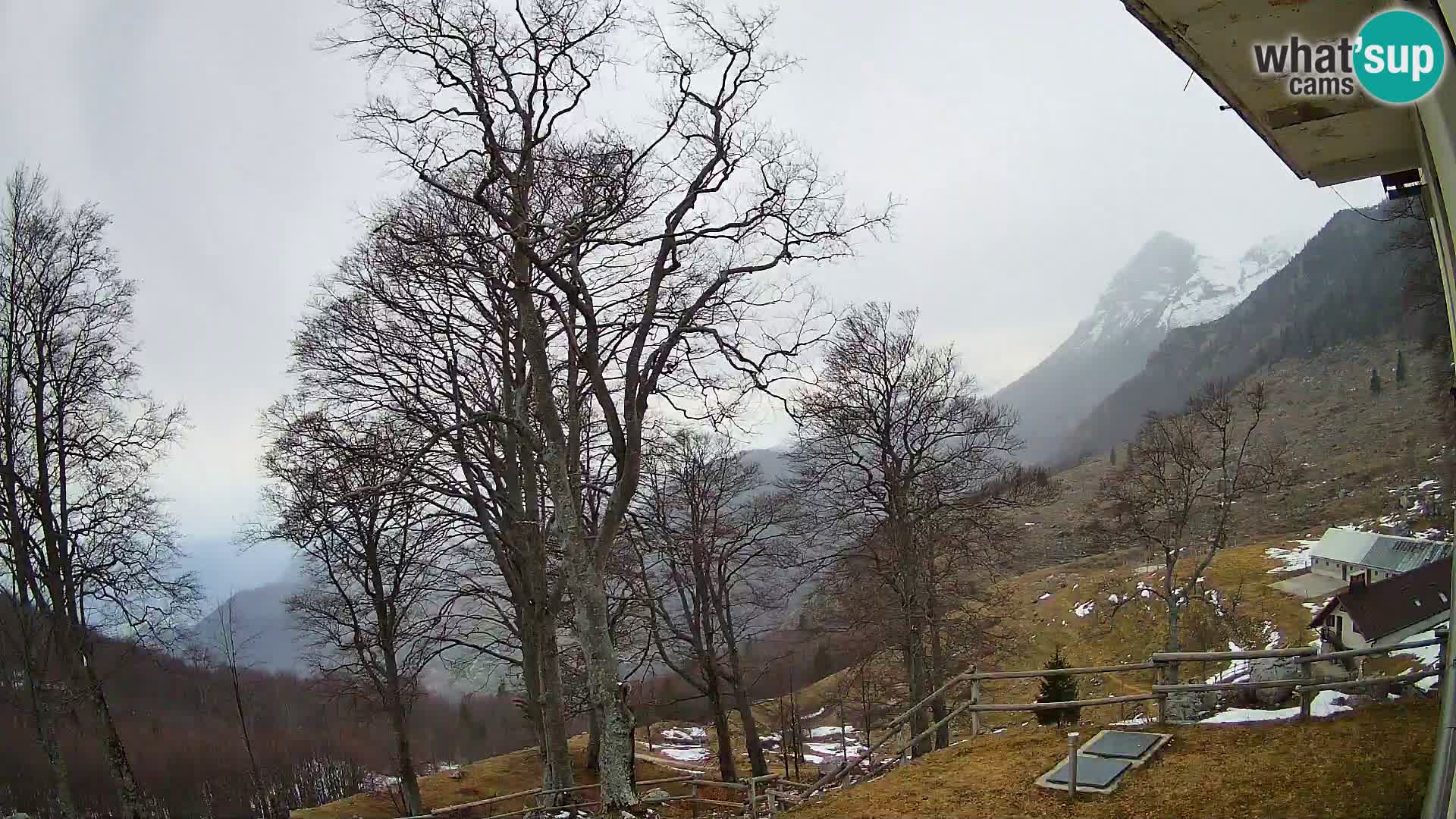 Cámara en vivo de la cabaña de montaña Planina Razor (1315) | vista hacia Tolminski Migovec