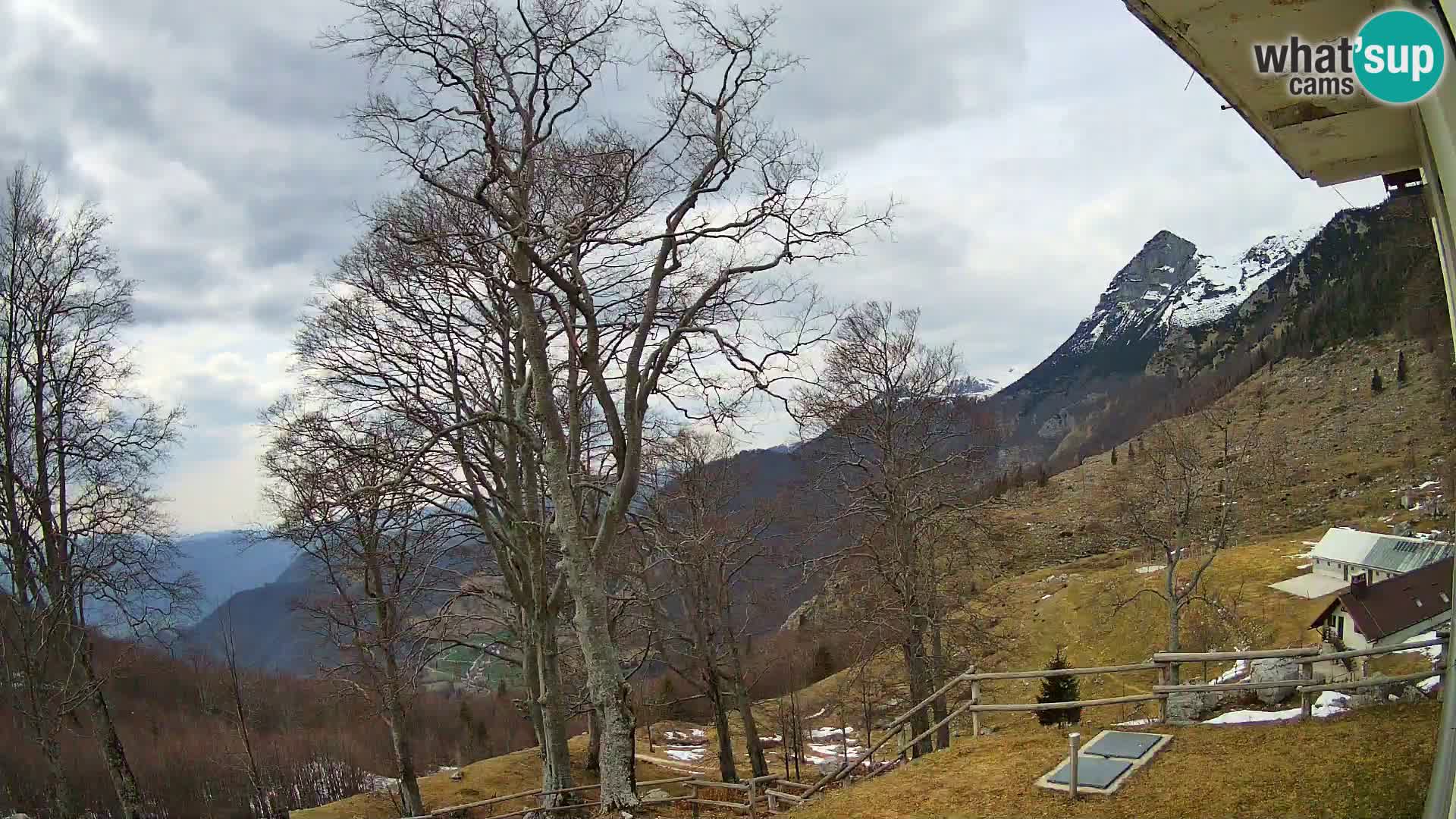 Koča na Planini Razor spletna kamera (1315) | Pogled na Tolminski Migovec