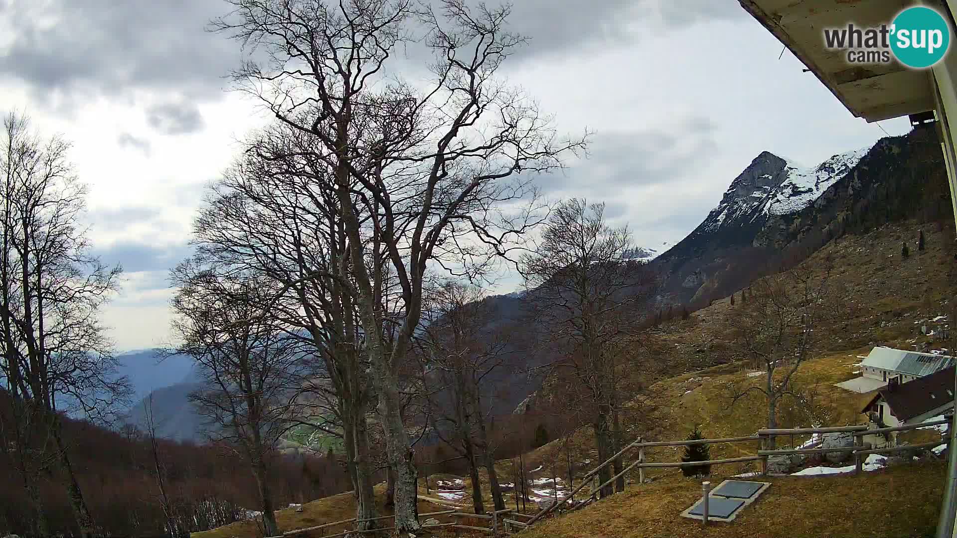 Planina Razor Bergütte Webcam (1315) | Blick auf Tolminski Migovec