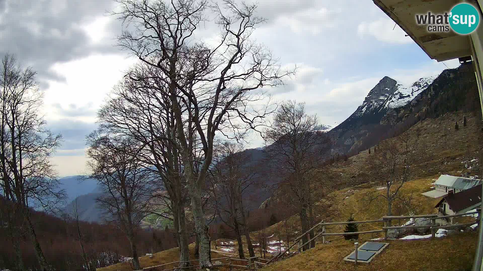 Baita di montagna Planina Razor webcam (1315) | vista su Tolminski Migovec
