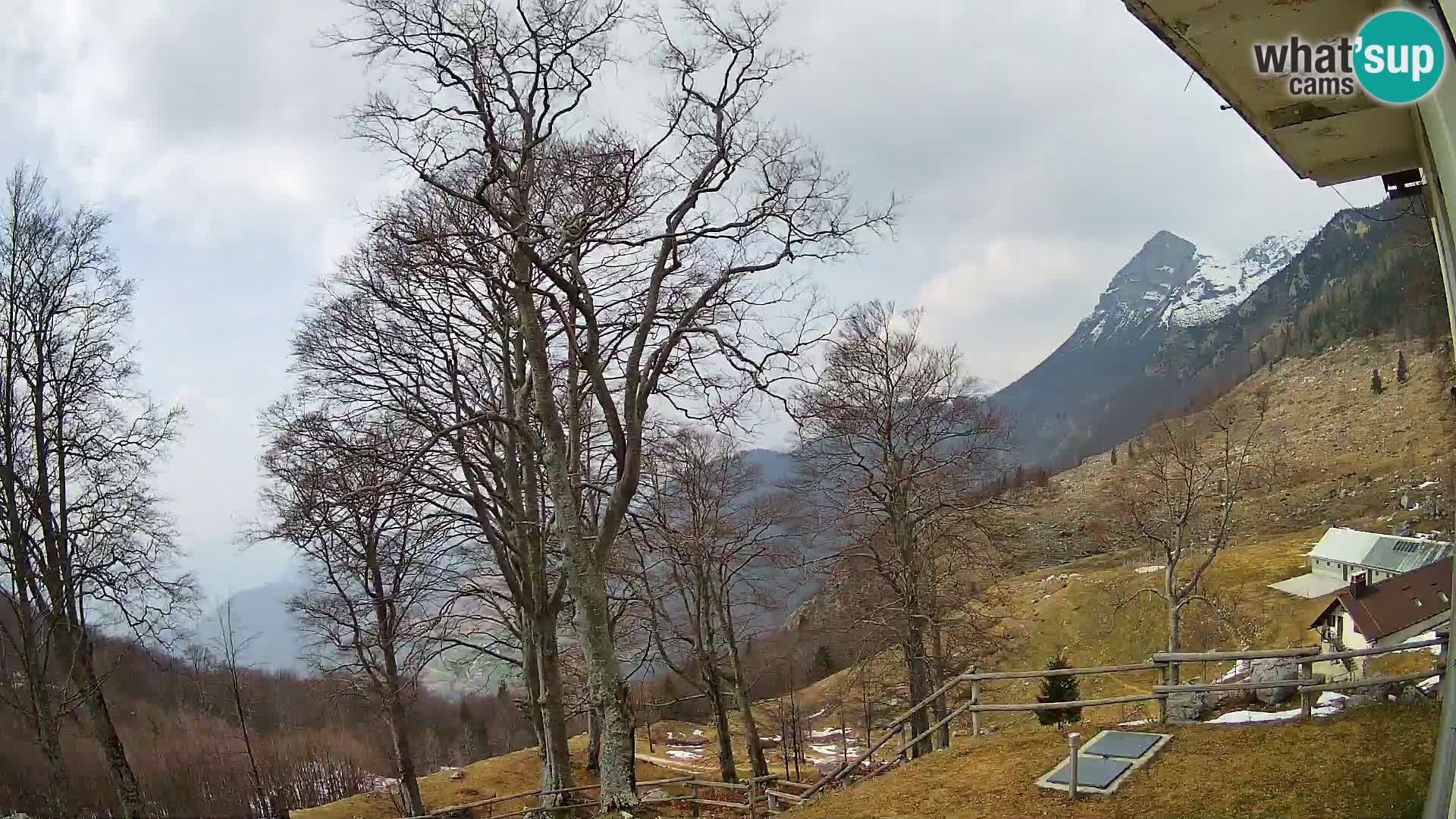 Refuge de la montagne Planina Razor caméra en direct (1315) | vue sur Tolminski Migovec