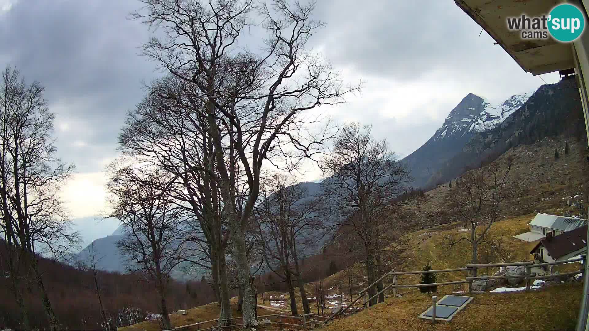 Koča na Planini Razor spletna kamera (1315) | Pogled na Tolminski Migovec