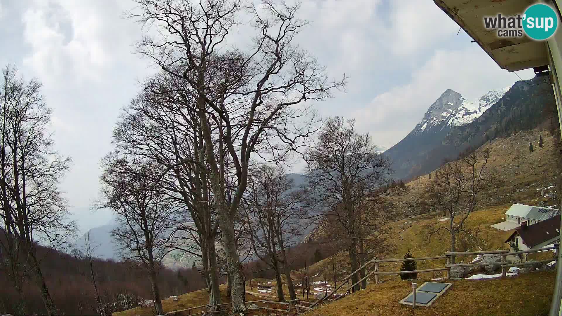 Baita di montagna Planina Razor webcam (1315) | vista su Tolminski Migovec