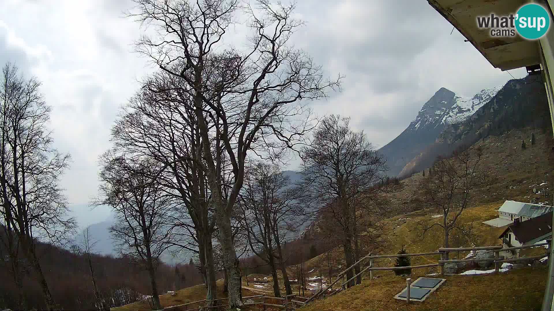 Planina Razor Mountain Hut live cam (1315) | view to Tolminski Migovec