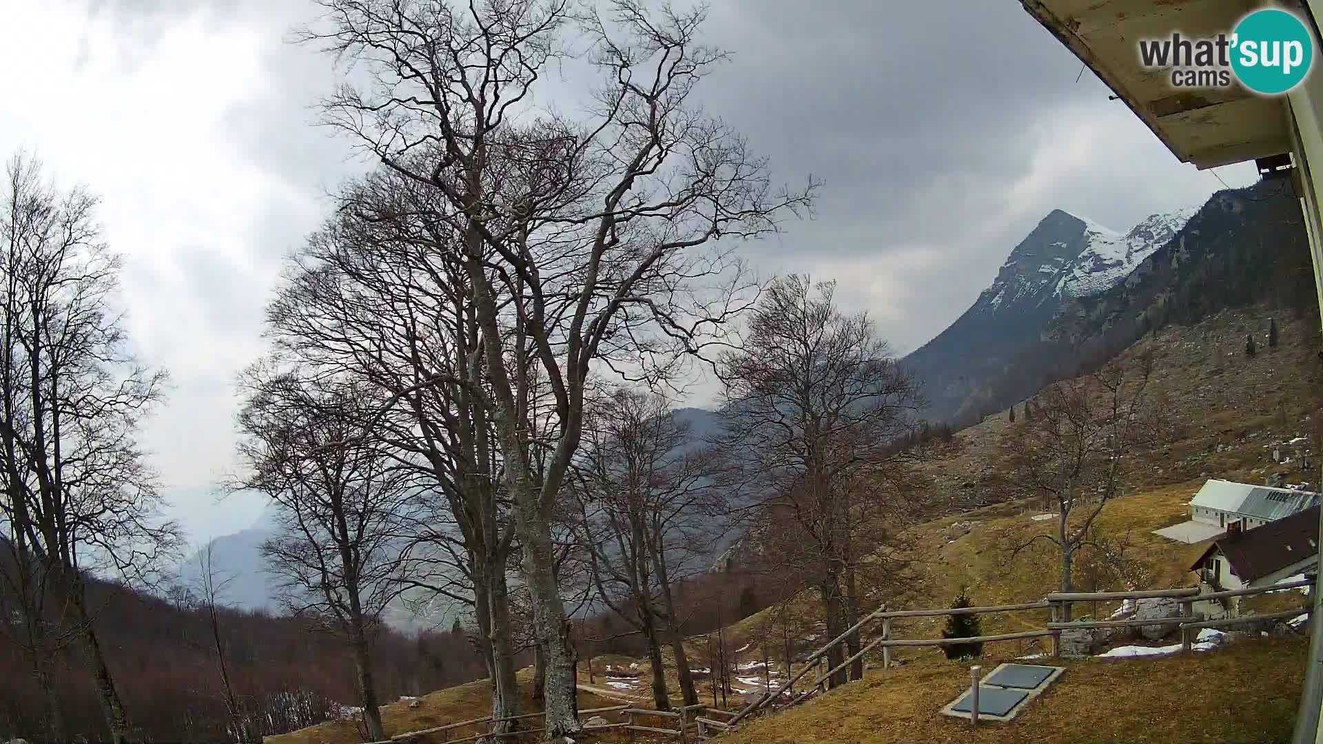 Cámara en vivo de la cabaña de montaña Planina Razor (1315) | vista hacia Tolminski Migovec