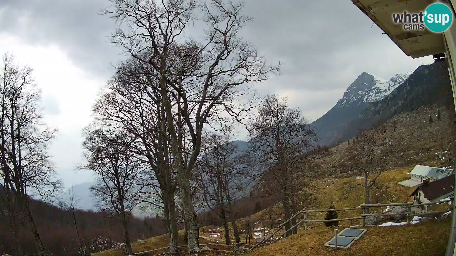 Planina Razor Bergütte Webcam (1315) | Blick auf Tolminski Migovec