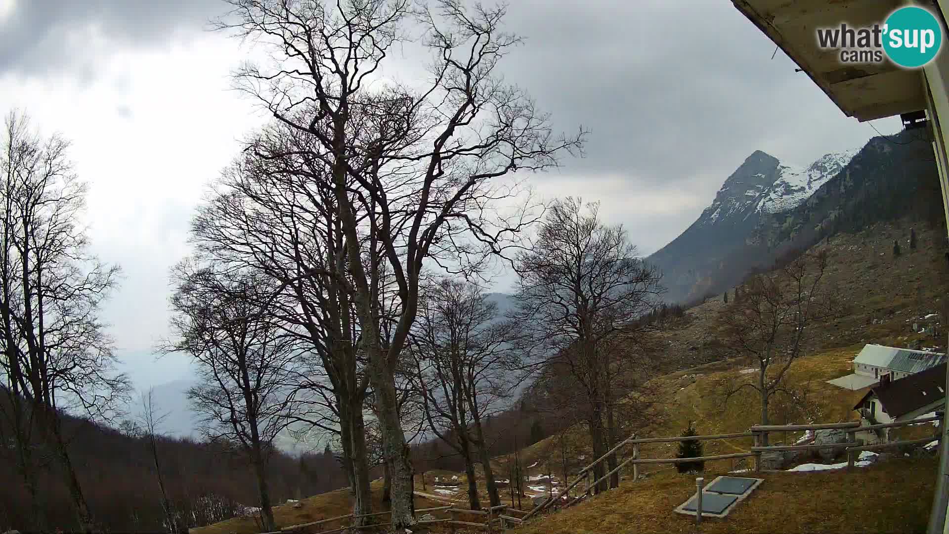 Planina Razor Bergütte Webcam (1315) | Blick auf Tolminski Migovec