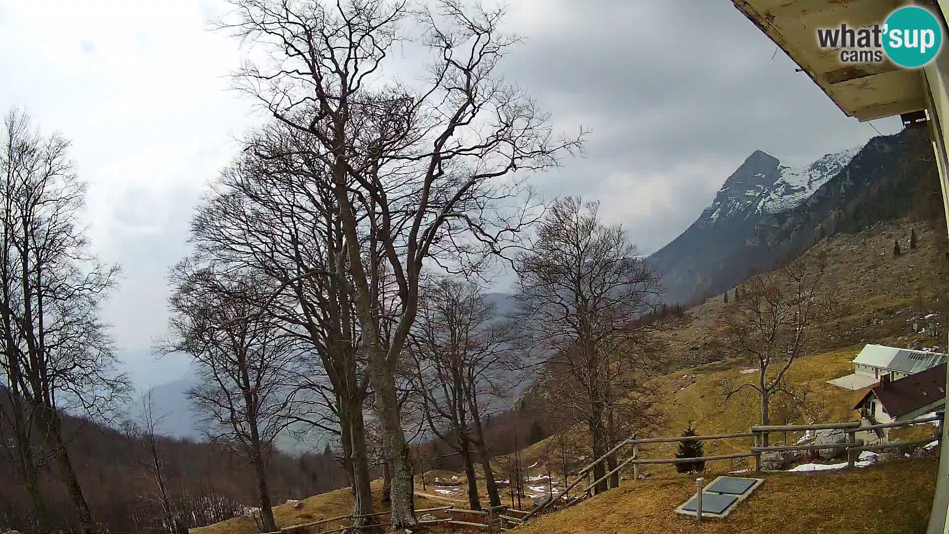 Baita di montagna Planina Razor webcam (1315) | vista su Tolminski Migovec