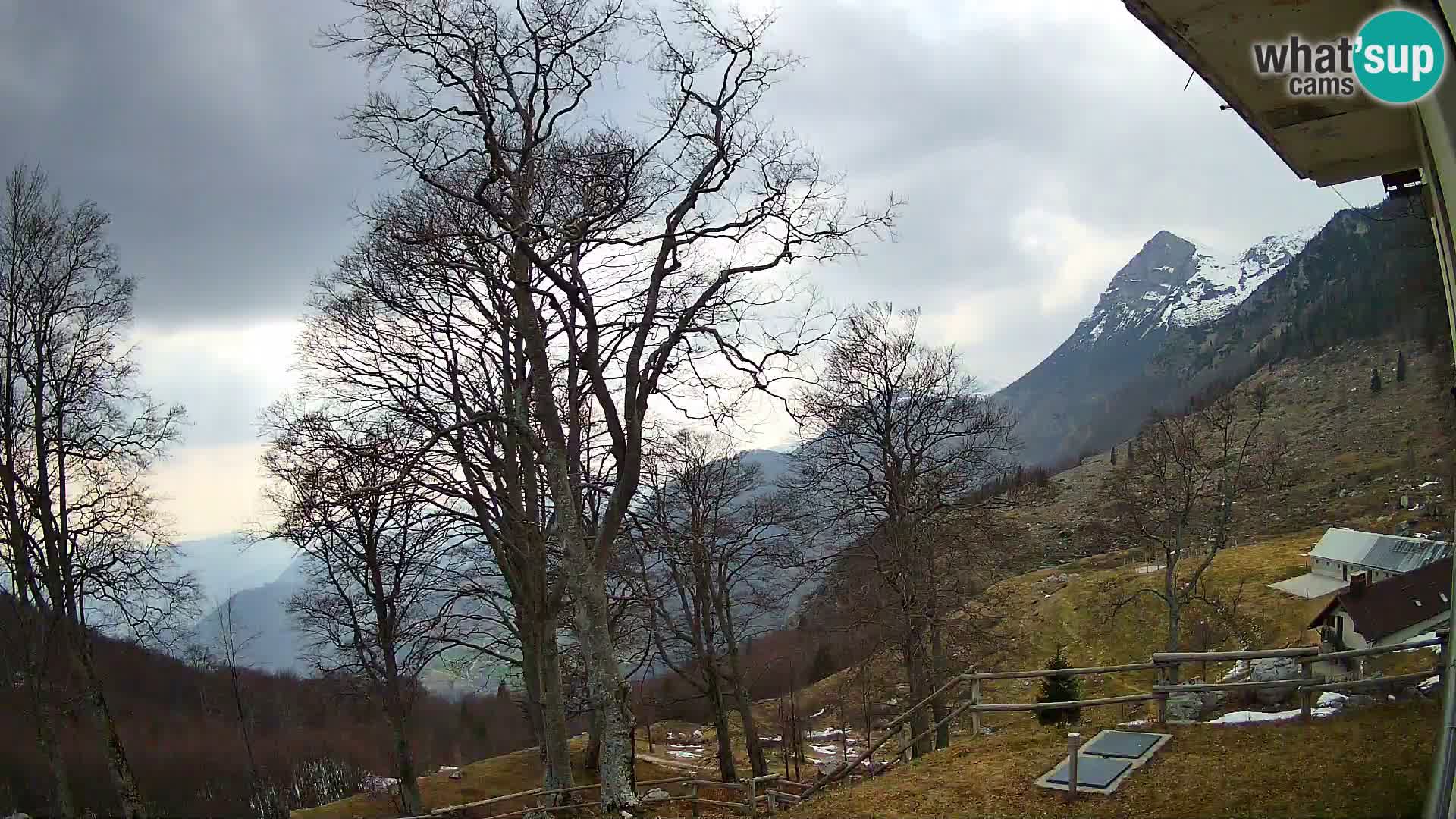 Planina Razor Mountain Hut live cam (1315) | view to Tolminski Migovec