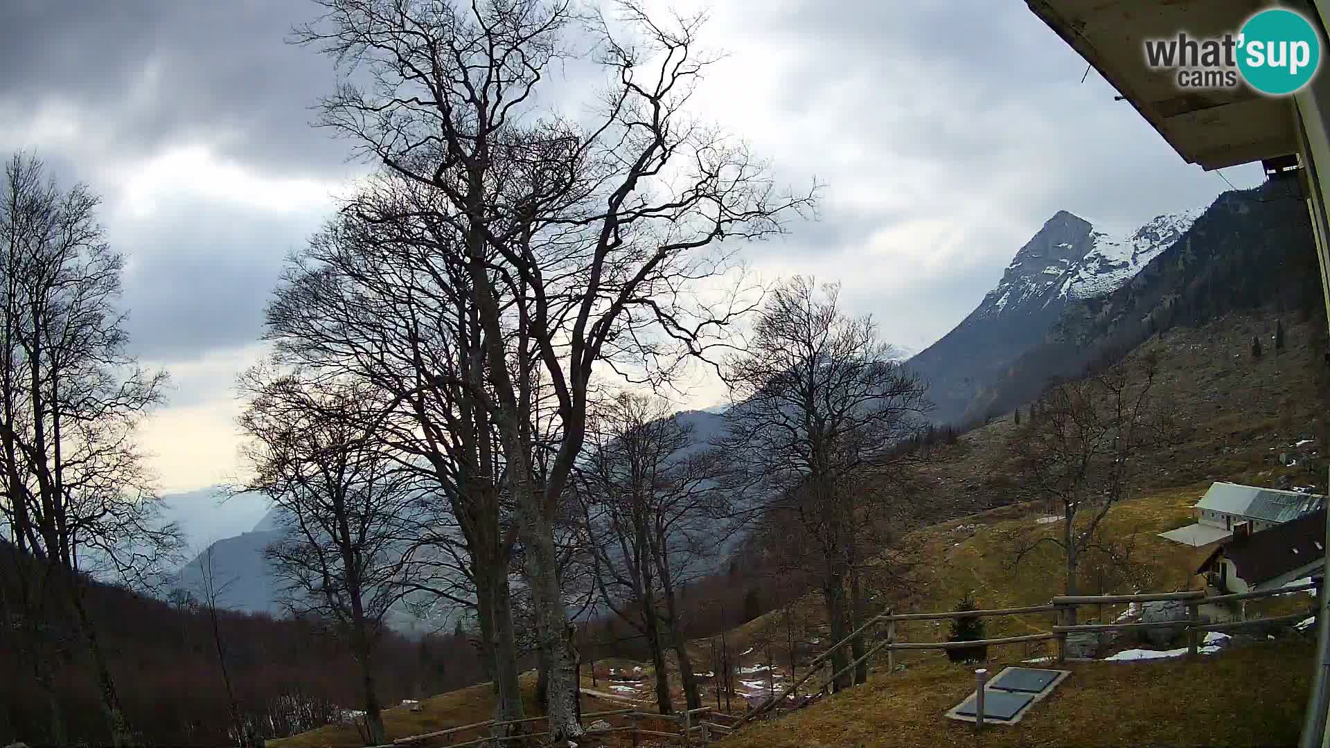 Refuge de la montagne Planina Razor caméra en direct (1315) | vue sur Tolminski Migovec