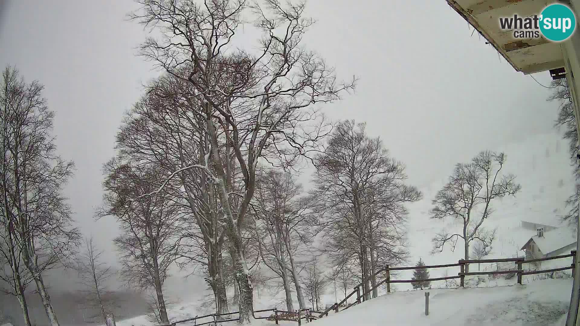 Planina Razor Mountain Hut live cam (1315) | view to Tolminski Migovec