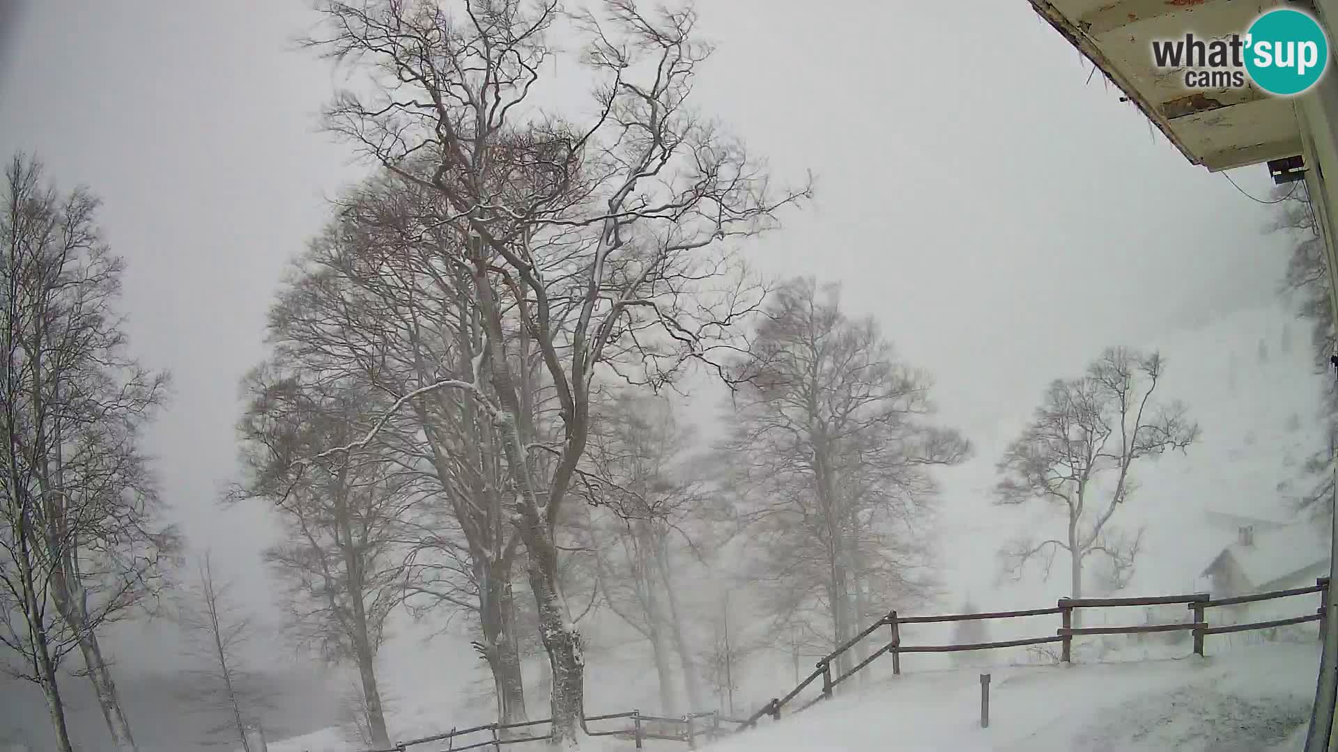 Refuge de la montagne Planina Razor caméra en direct (1315) | vue sur Tolminski Migovec