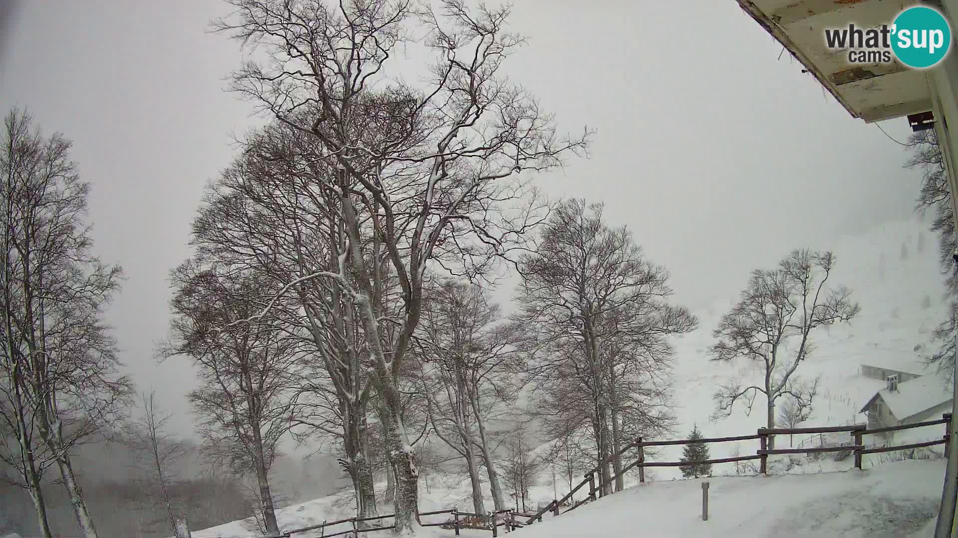 Baita di montagna Planina Razor webcam (1315) | vista su Tolminski Migovec