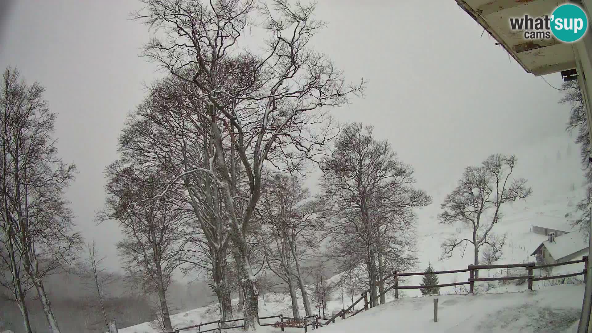 Planina Razor Mountain Hut live cam (1315) | view to Tolminski Migovec