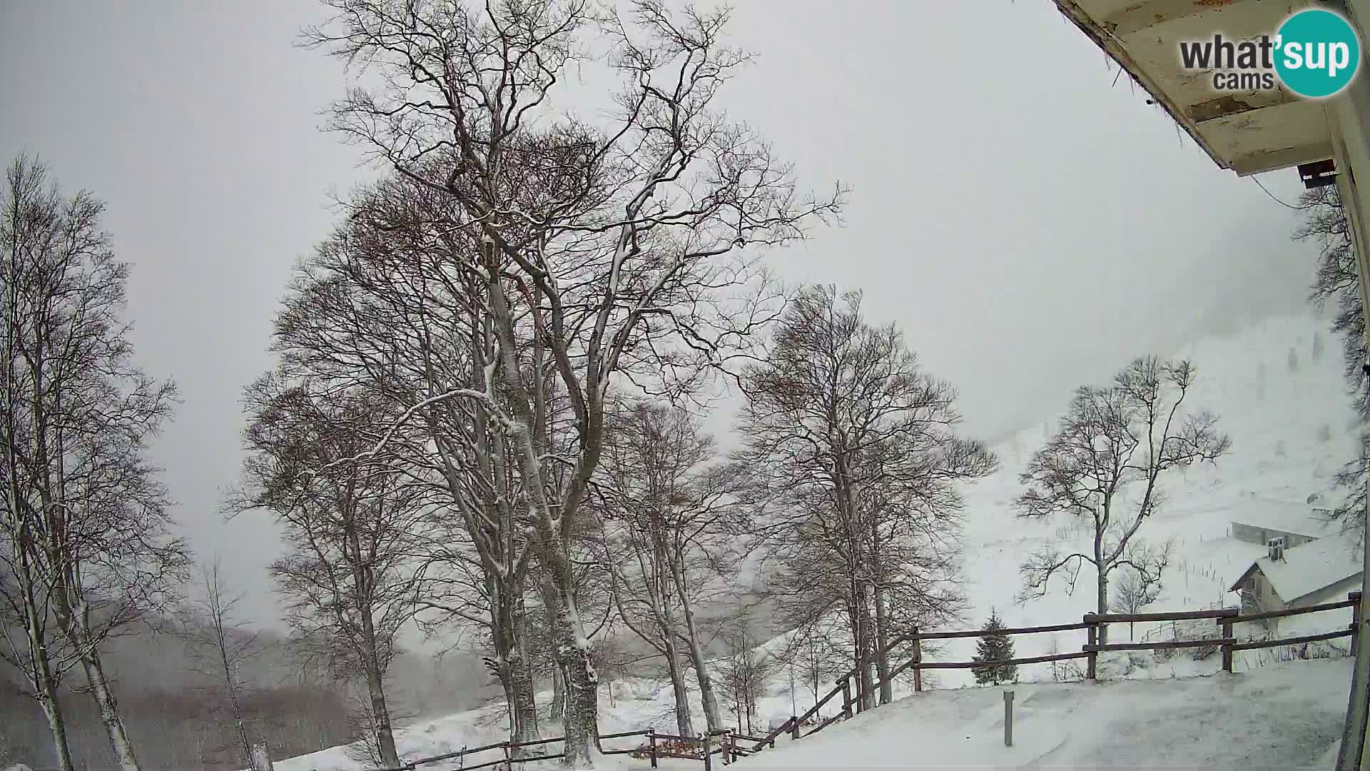 Planina Razor Mountain Hut live cam (1315) | view to Tolminski Migovec