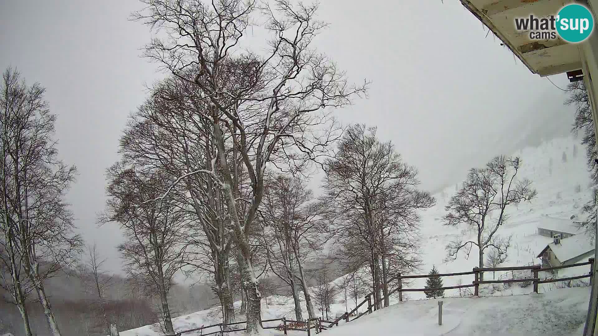 Planinarski dom na planini Razor (1315) | Pogled na Tolminski Migovec