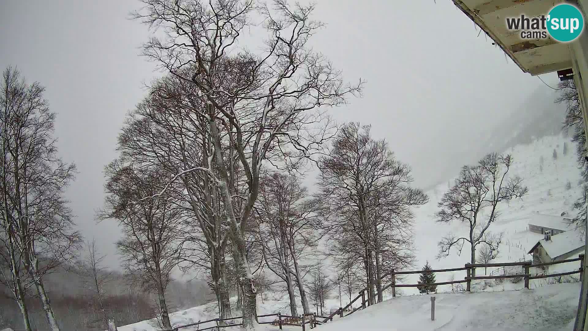 Baita di montagna Planina Razor webcam (1315) | vista su Tolminski Migovec