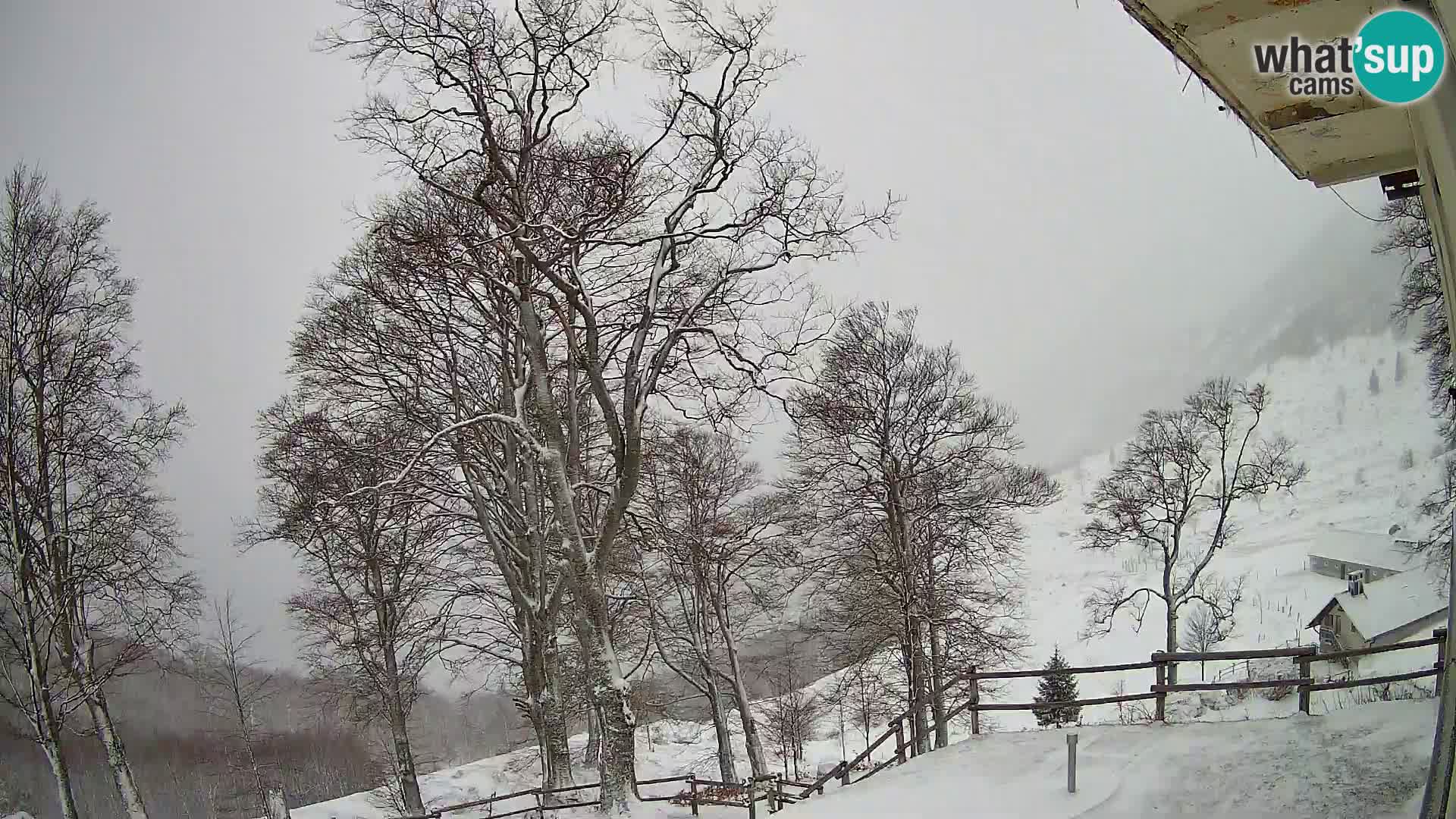 Planina Razor Mountain Hut live cam (1315) | view to Tolminski Migovec