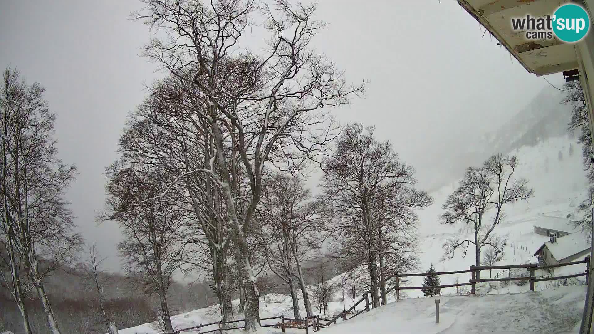 Cámara en vivo de la cabaña de montaña Planina Razor (1315) | vista hacia Tolminski Migovec