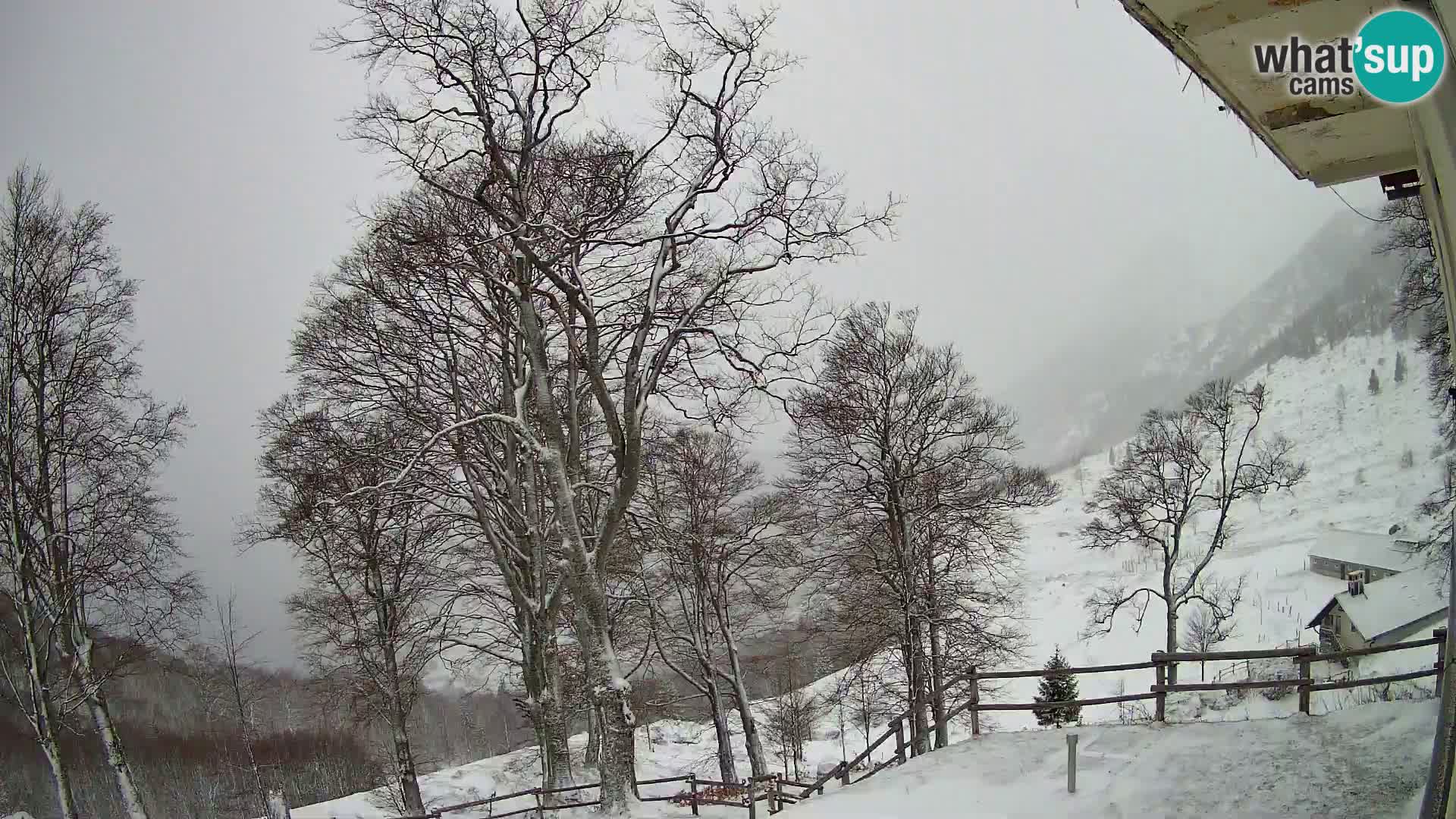 Planina Razor Mountain Hut live cam (1315) | view to Tolminski Migovec