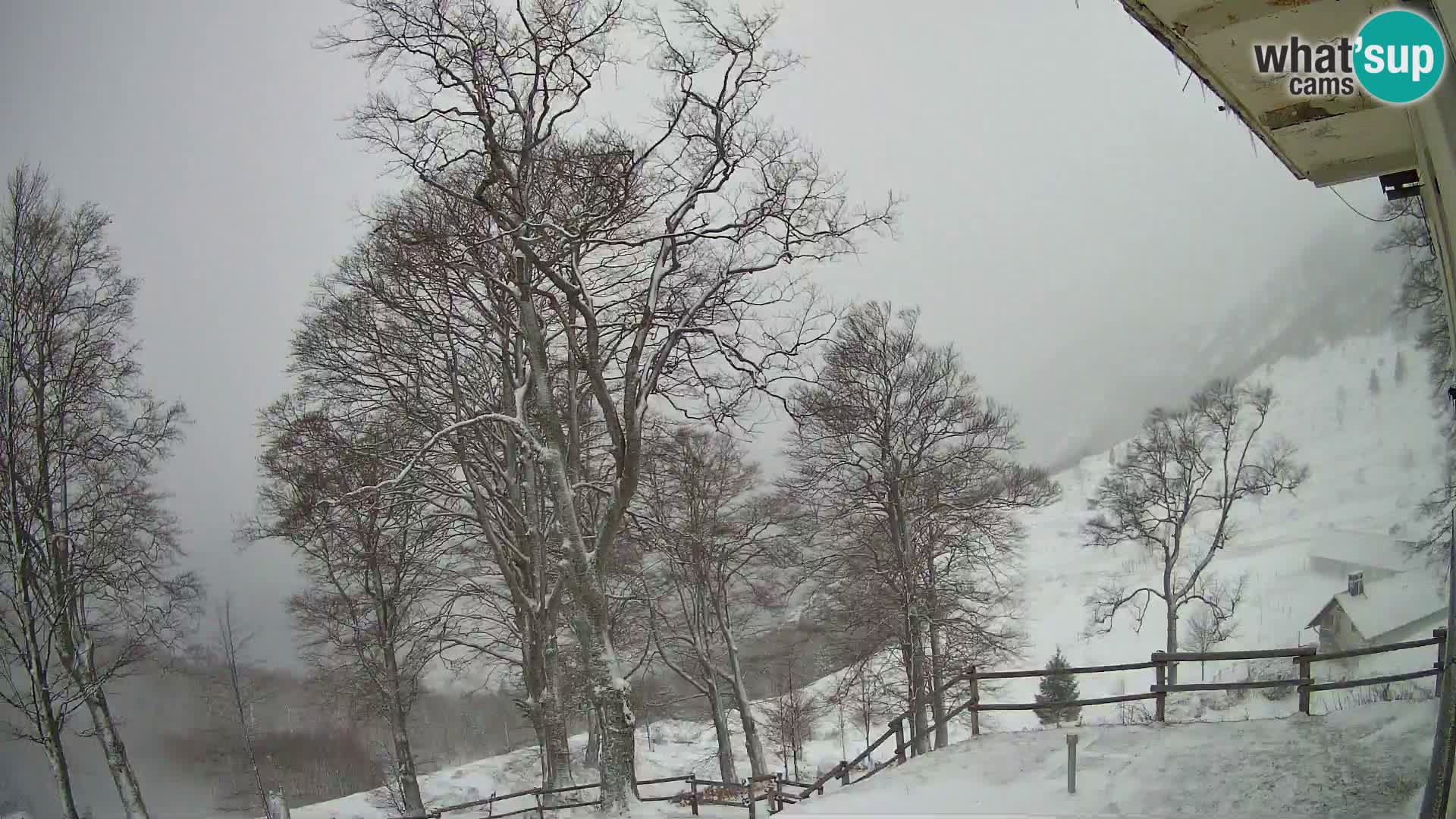 Koča na Planini Razor spletna kamera (1315) | Pogled na Tolminski Migovec